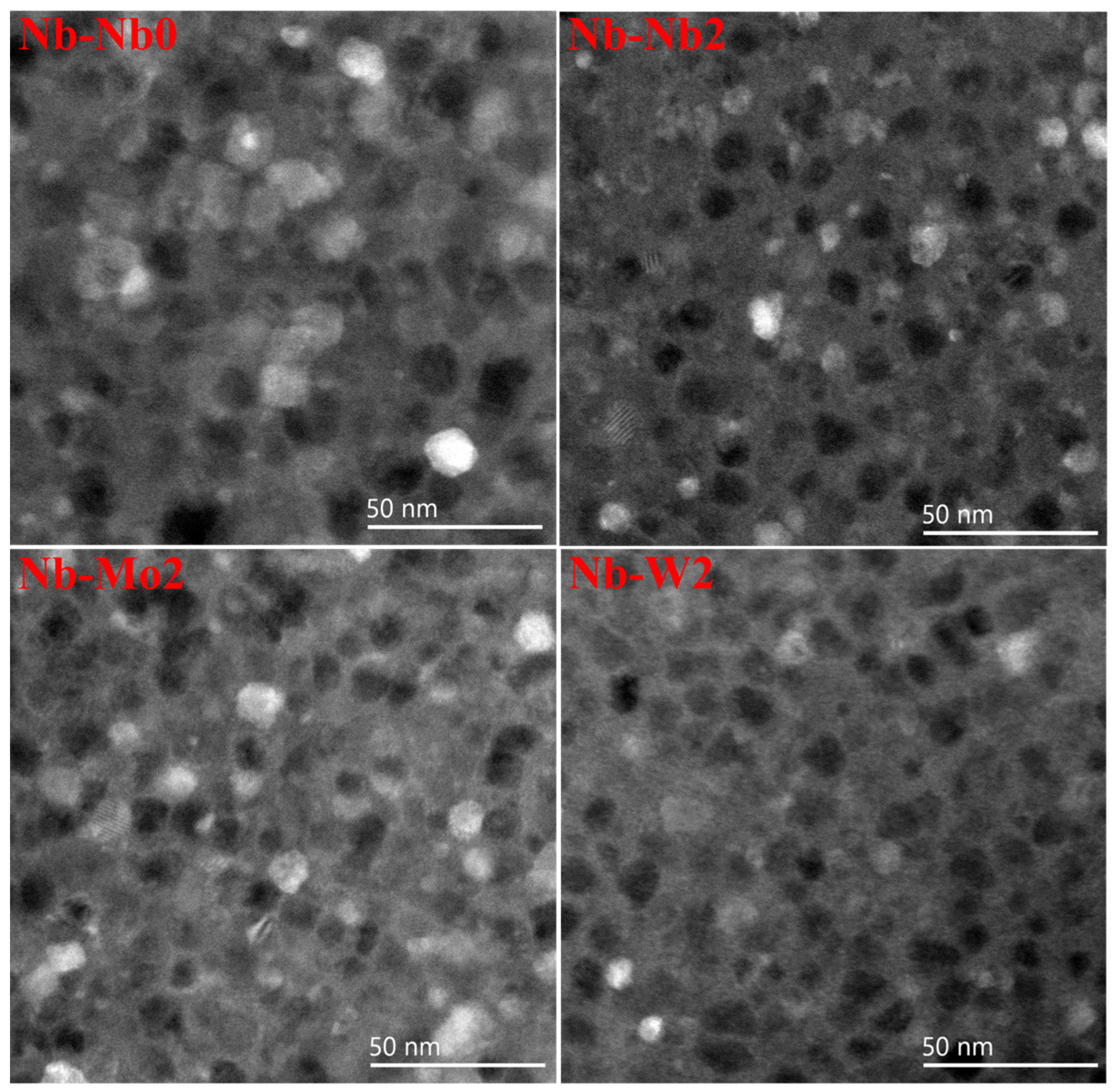 Metals 14 01424 g005