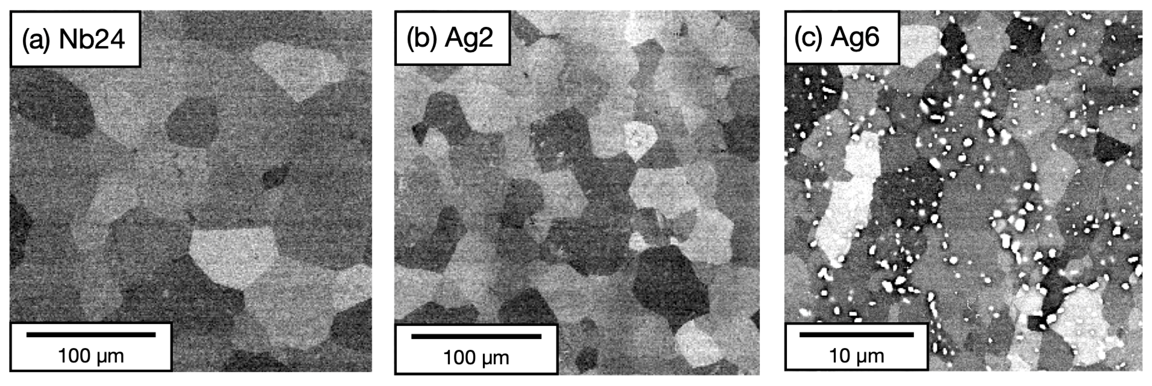 Metals 14 01426 g004