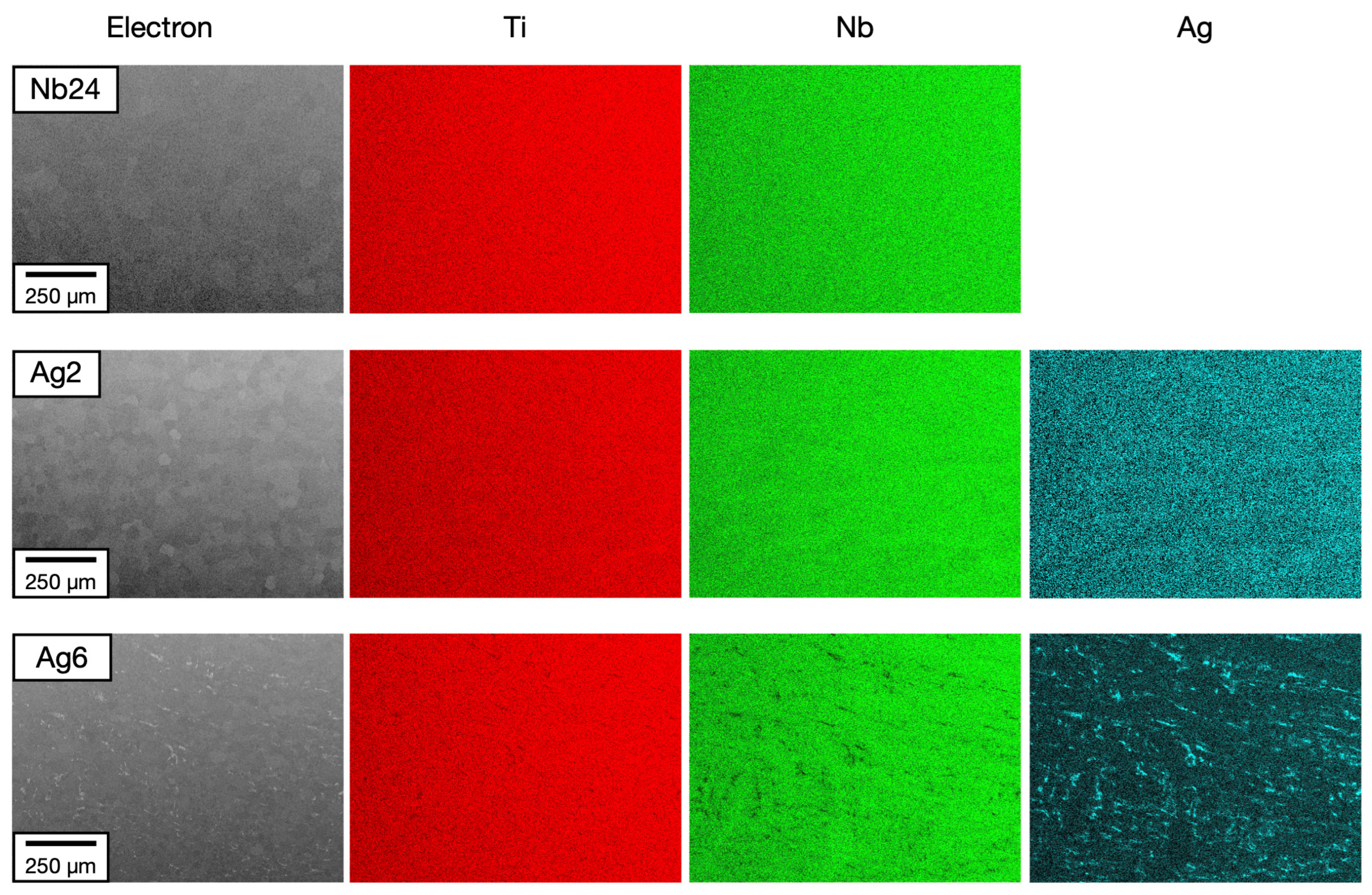 Metals 14 01426 g005