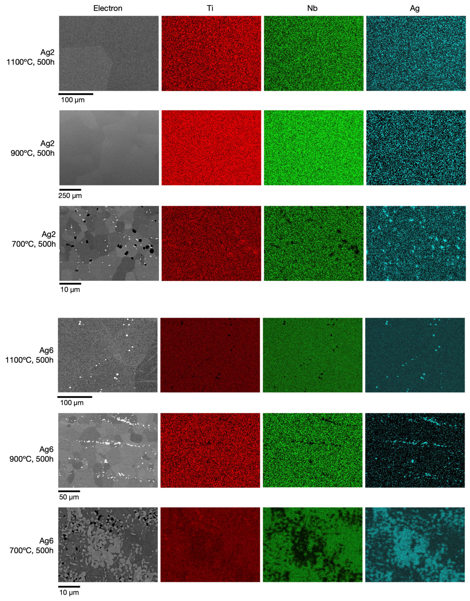 Metals 14 01426 g007