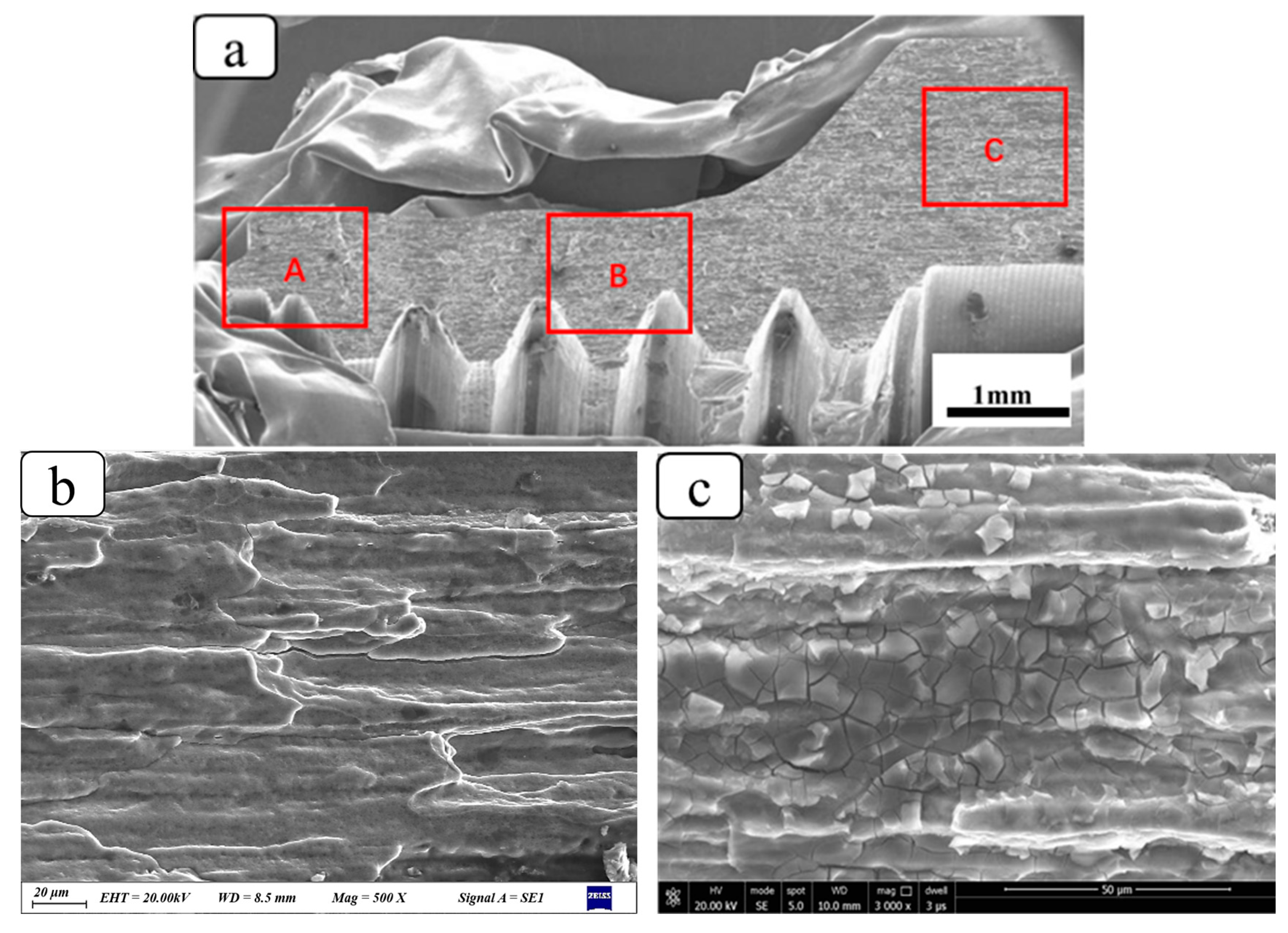 Metals 14 01427 g003a