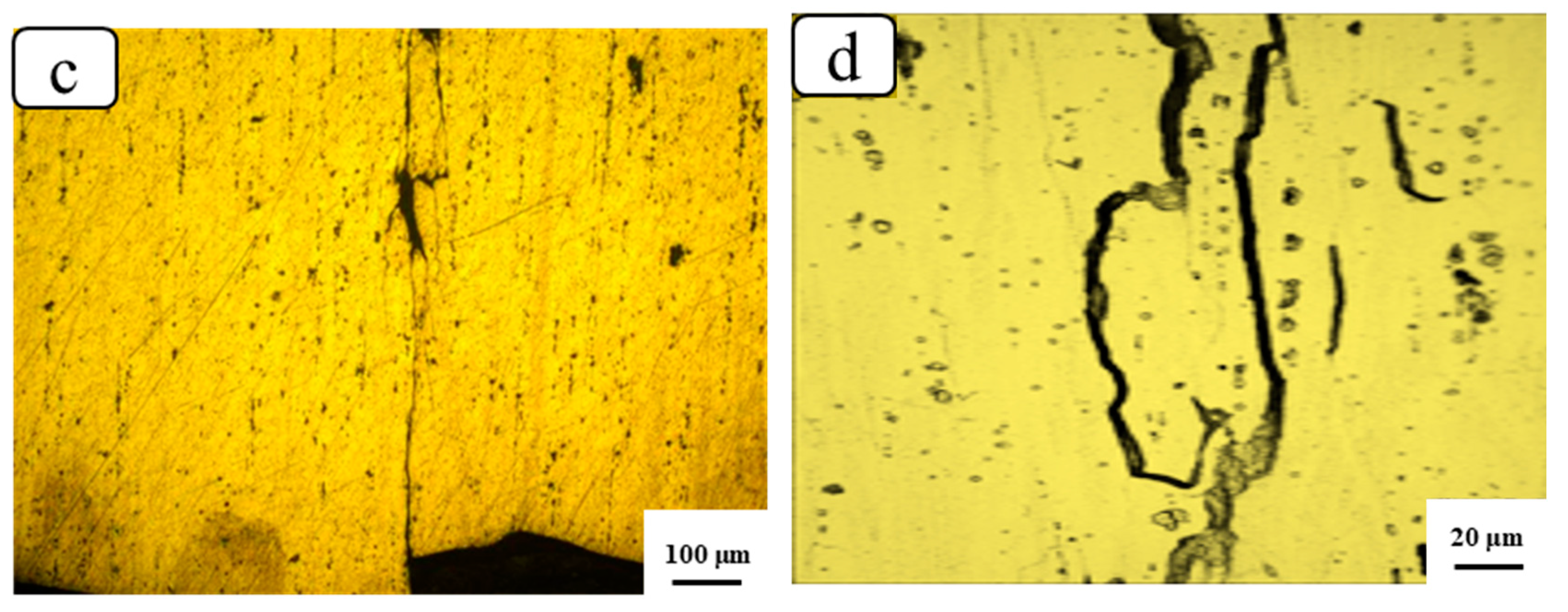 Metals 14 01427 g004b