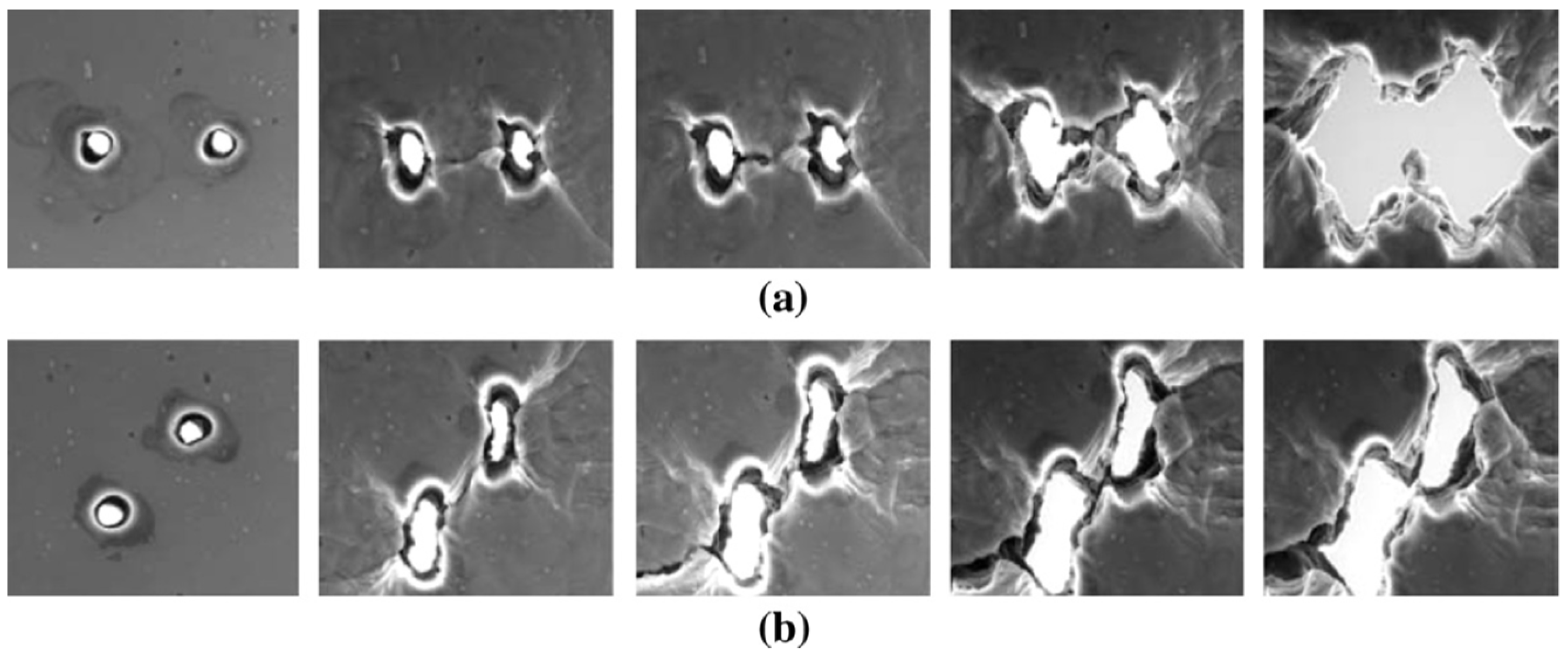 Metals 14 01428 g013