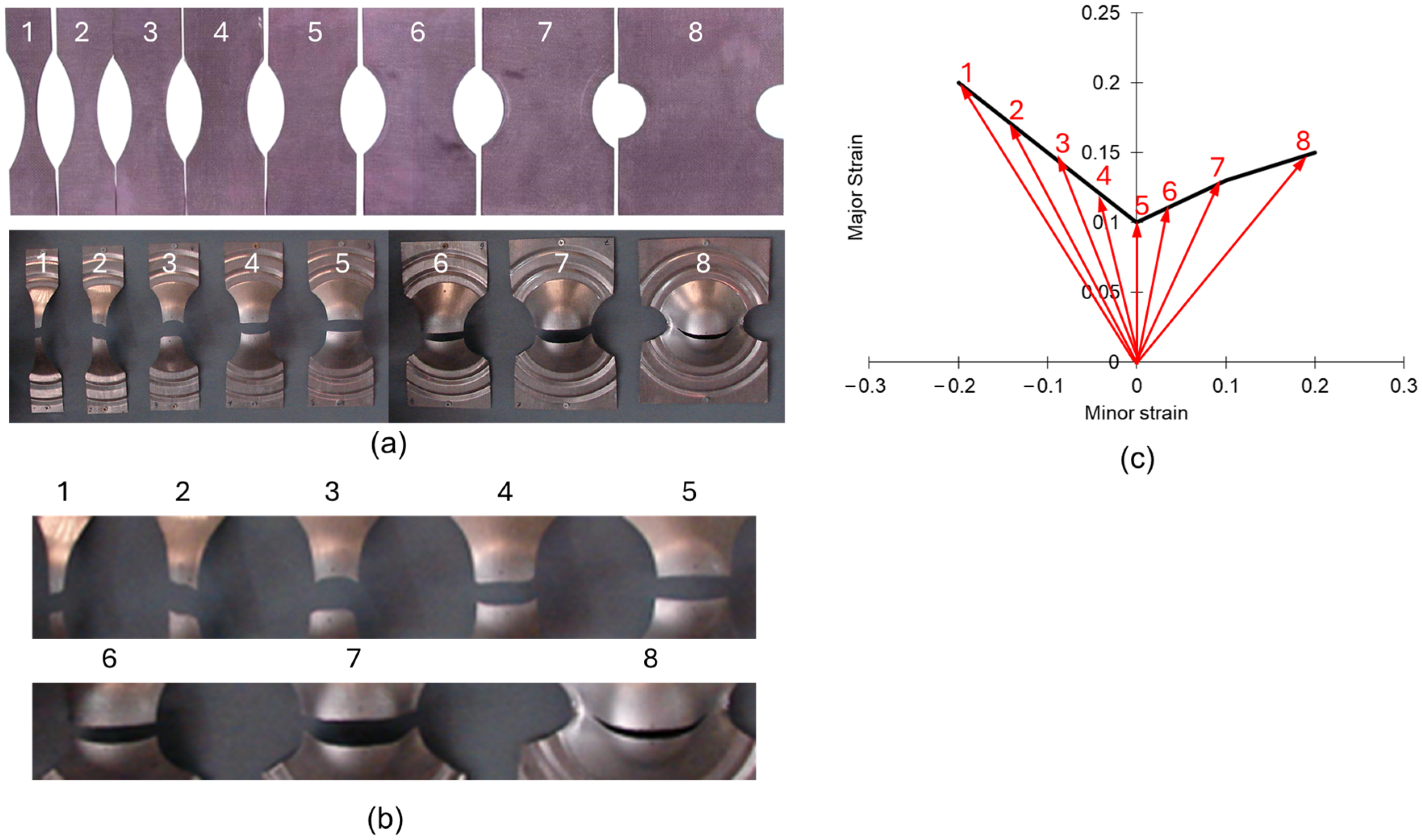 Metals 14 01428 g015