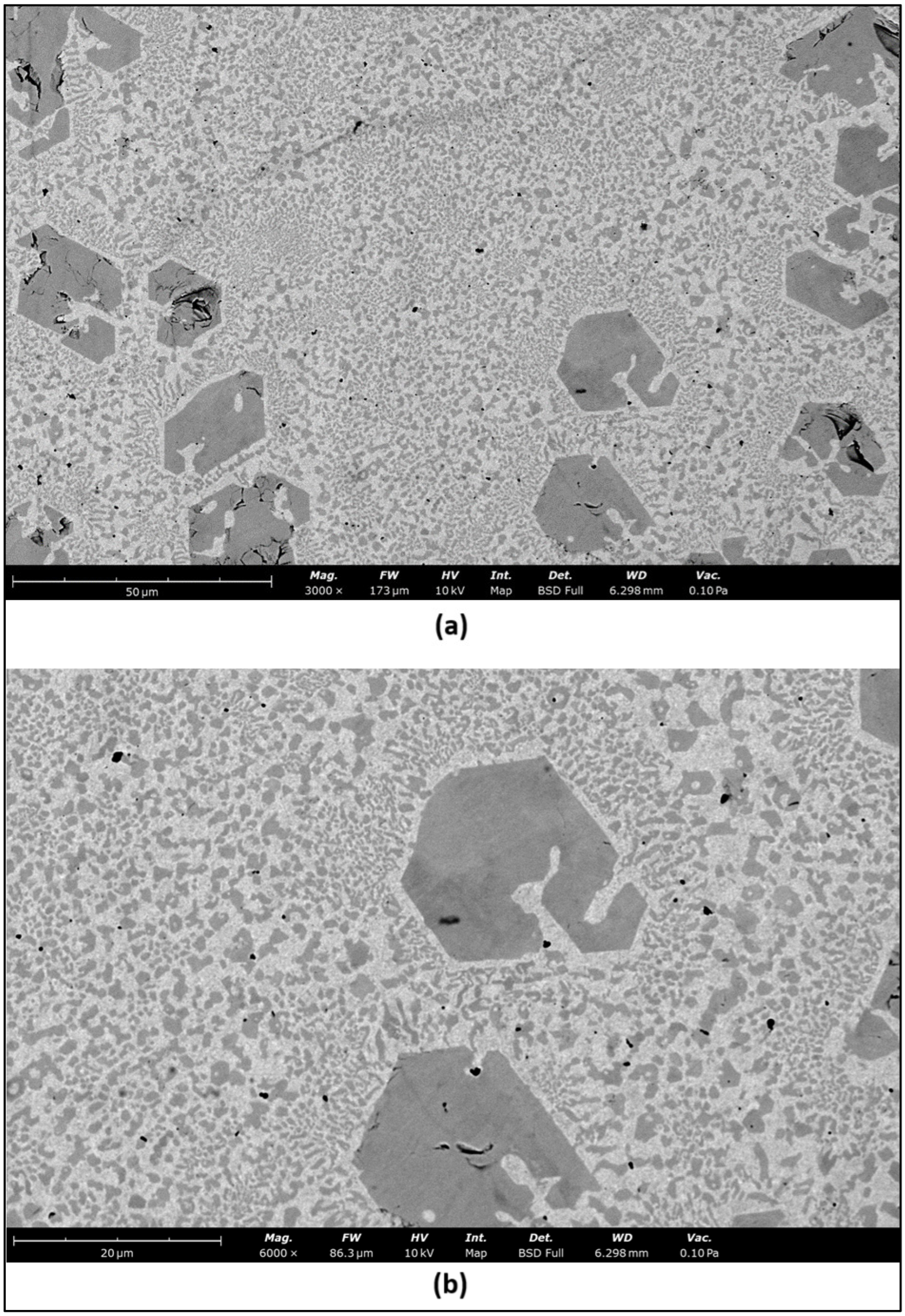 Metals 14 01436 g002