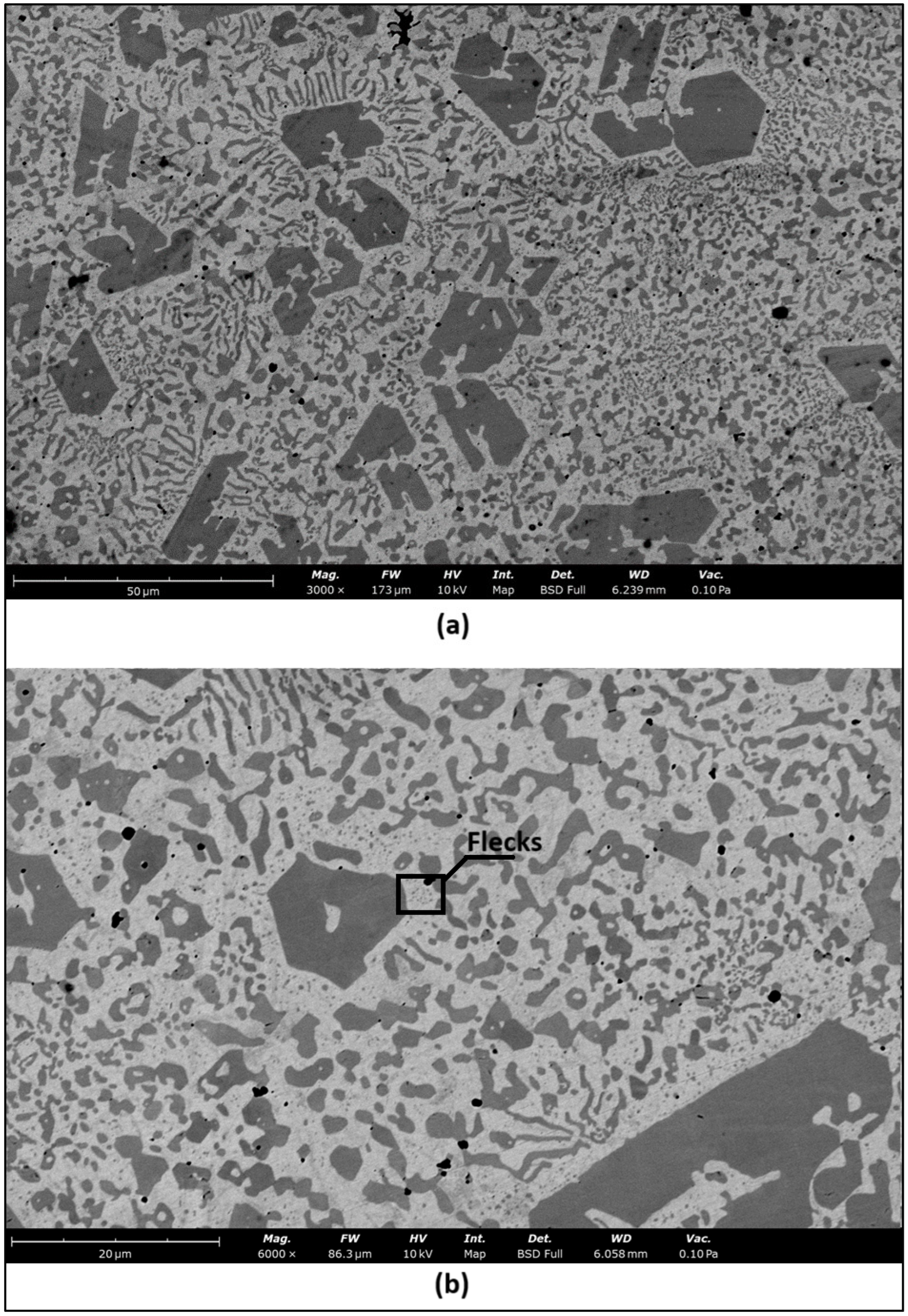 Metals 14 01436 g003