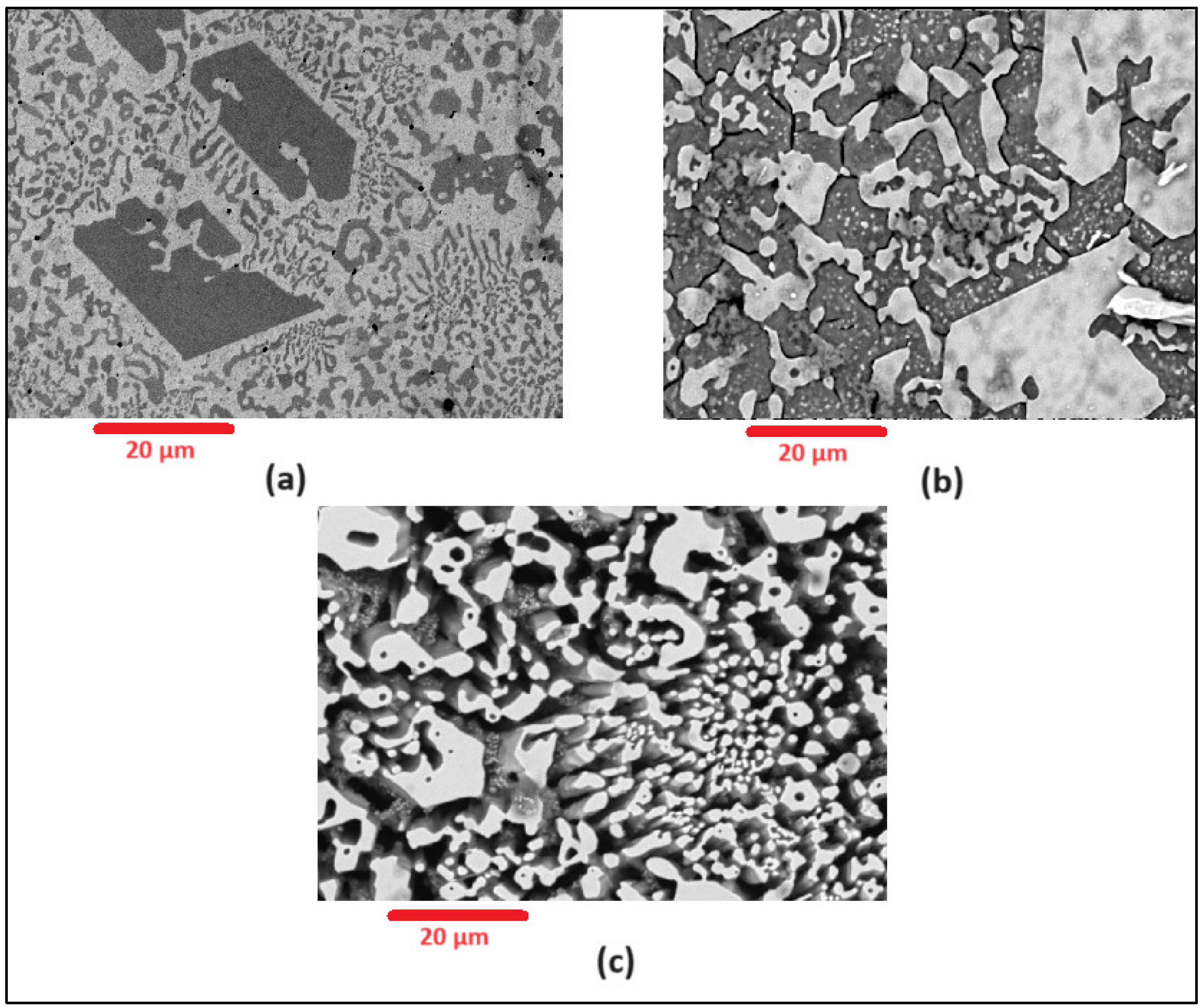 Metals 14 01436 g010