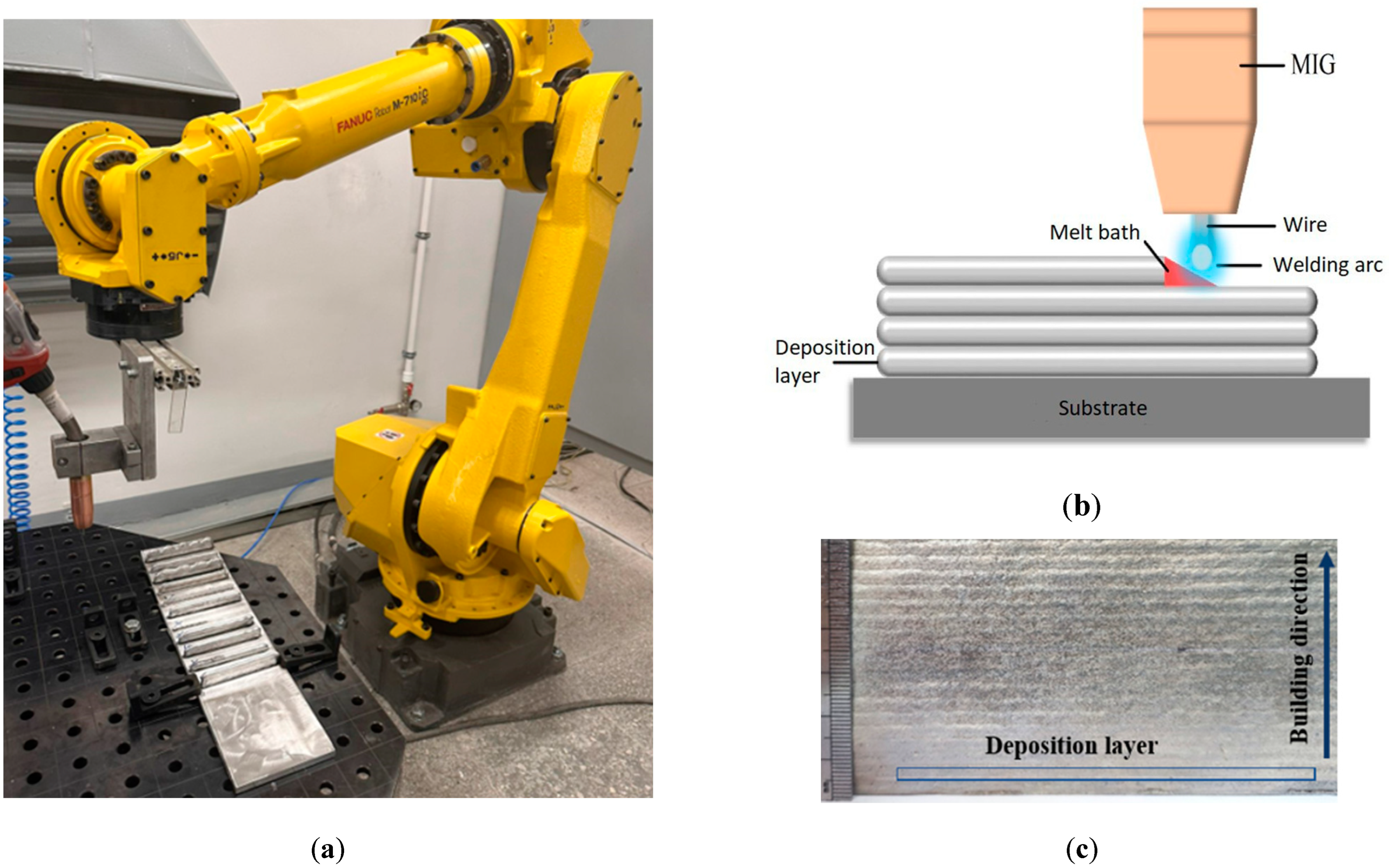 Metals 14 01445 g001
