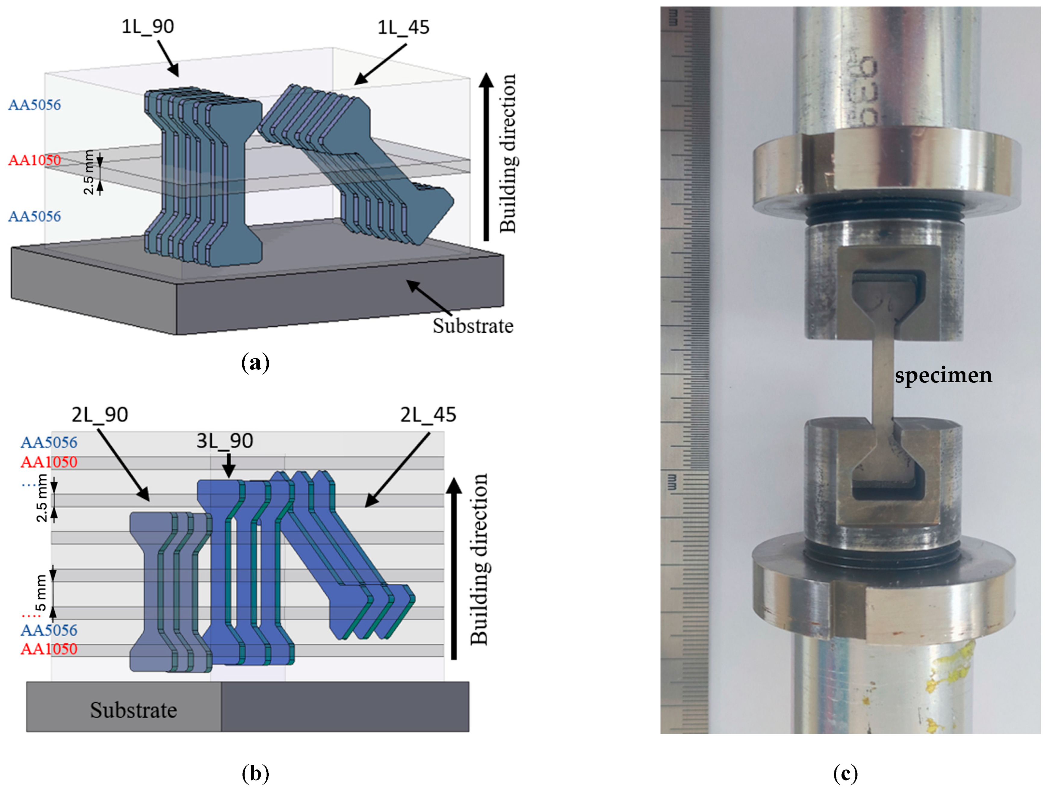 Metals 14 01445 g002