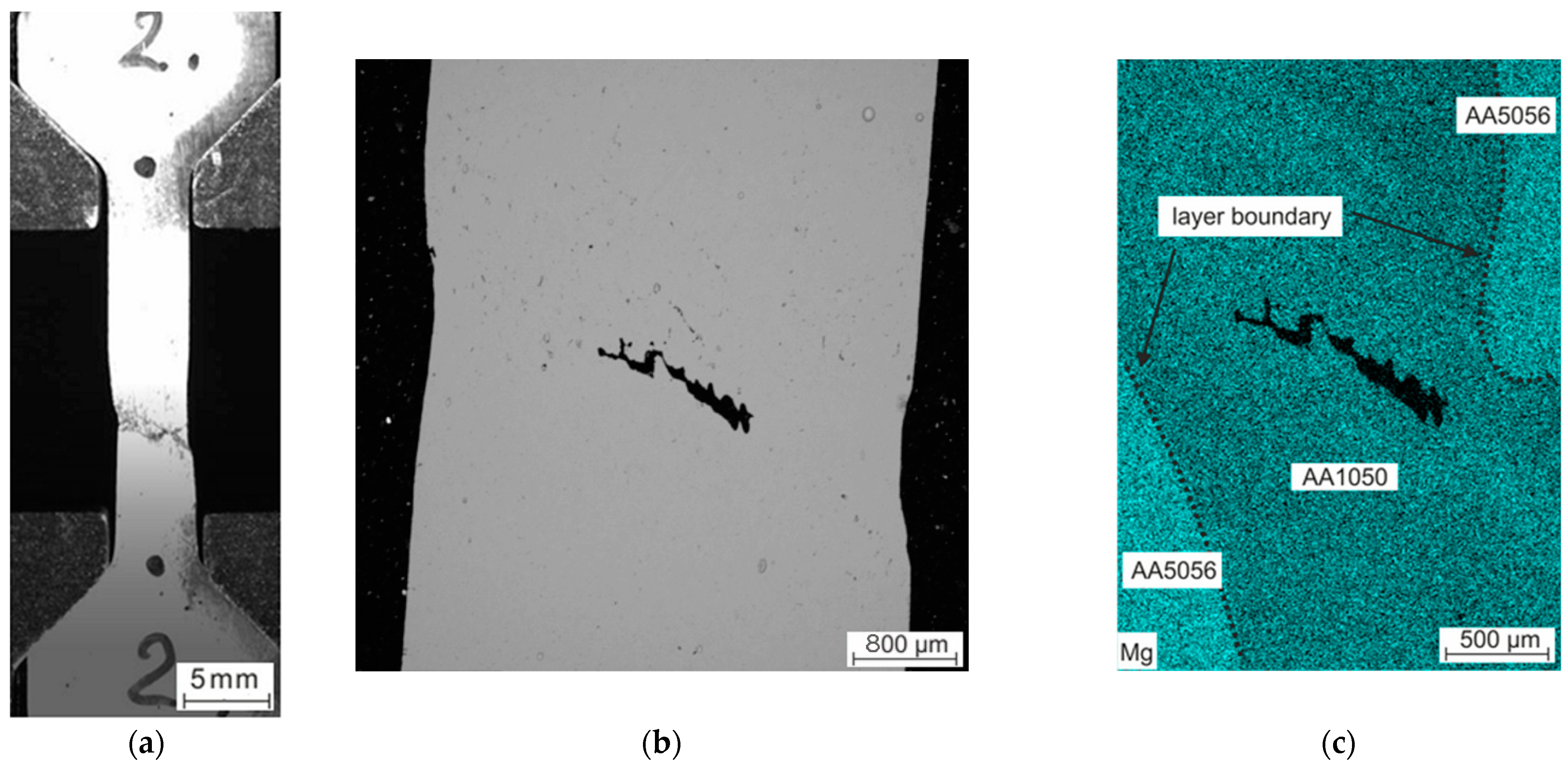 Metals 14 01445 g005a