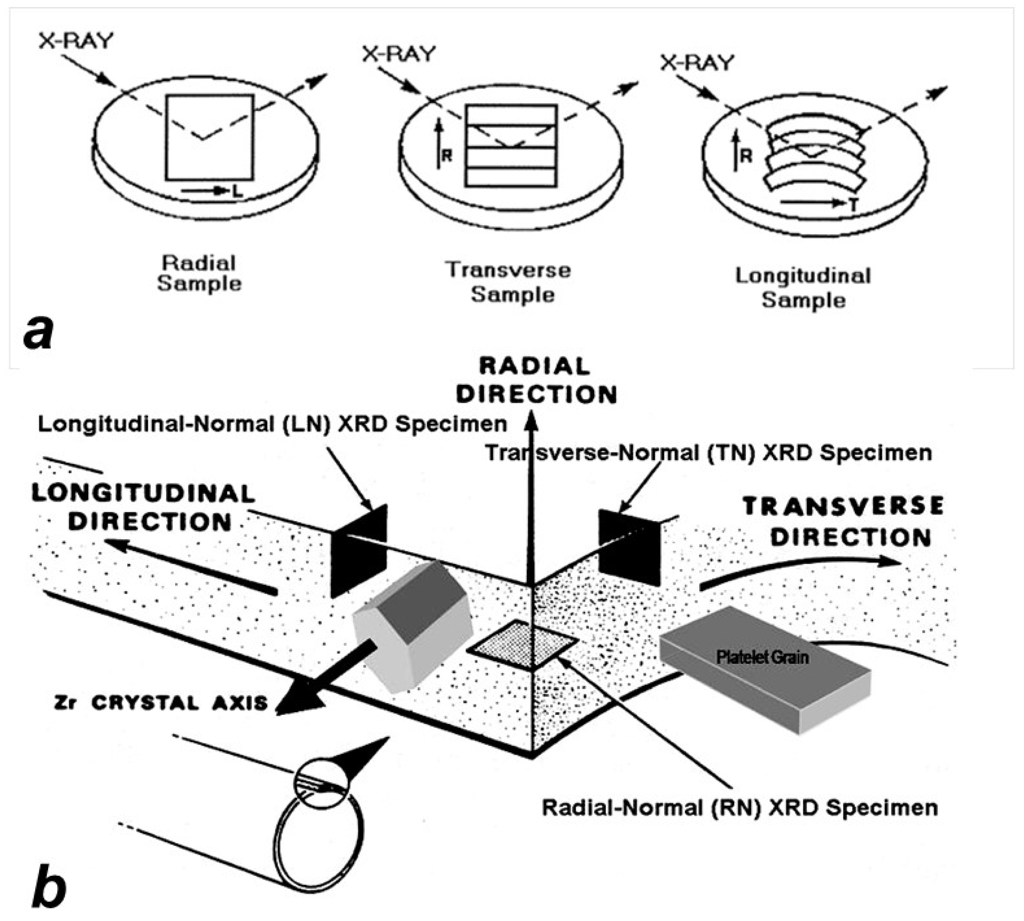 Metals 14 01446 g003