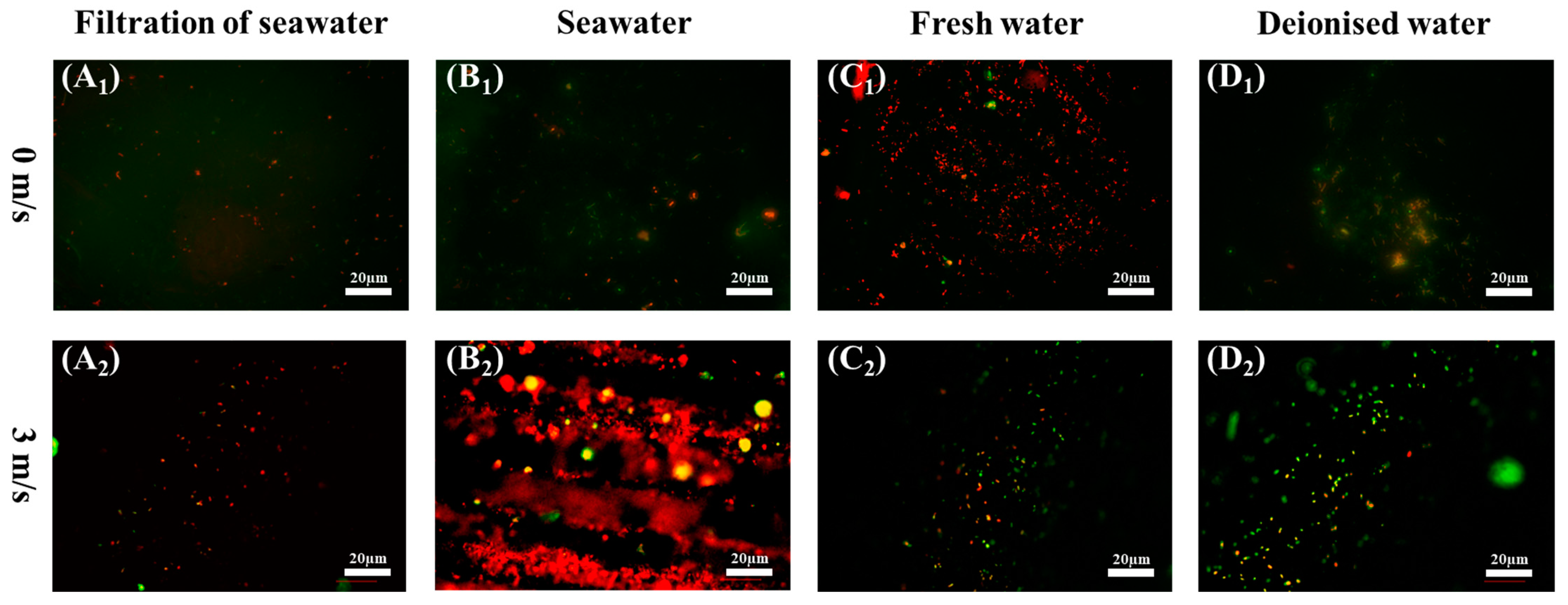 Metals 14 01451 g007