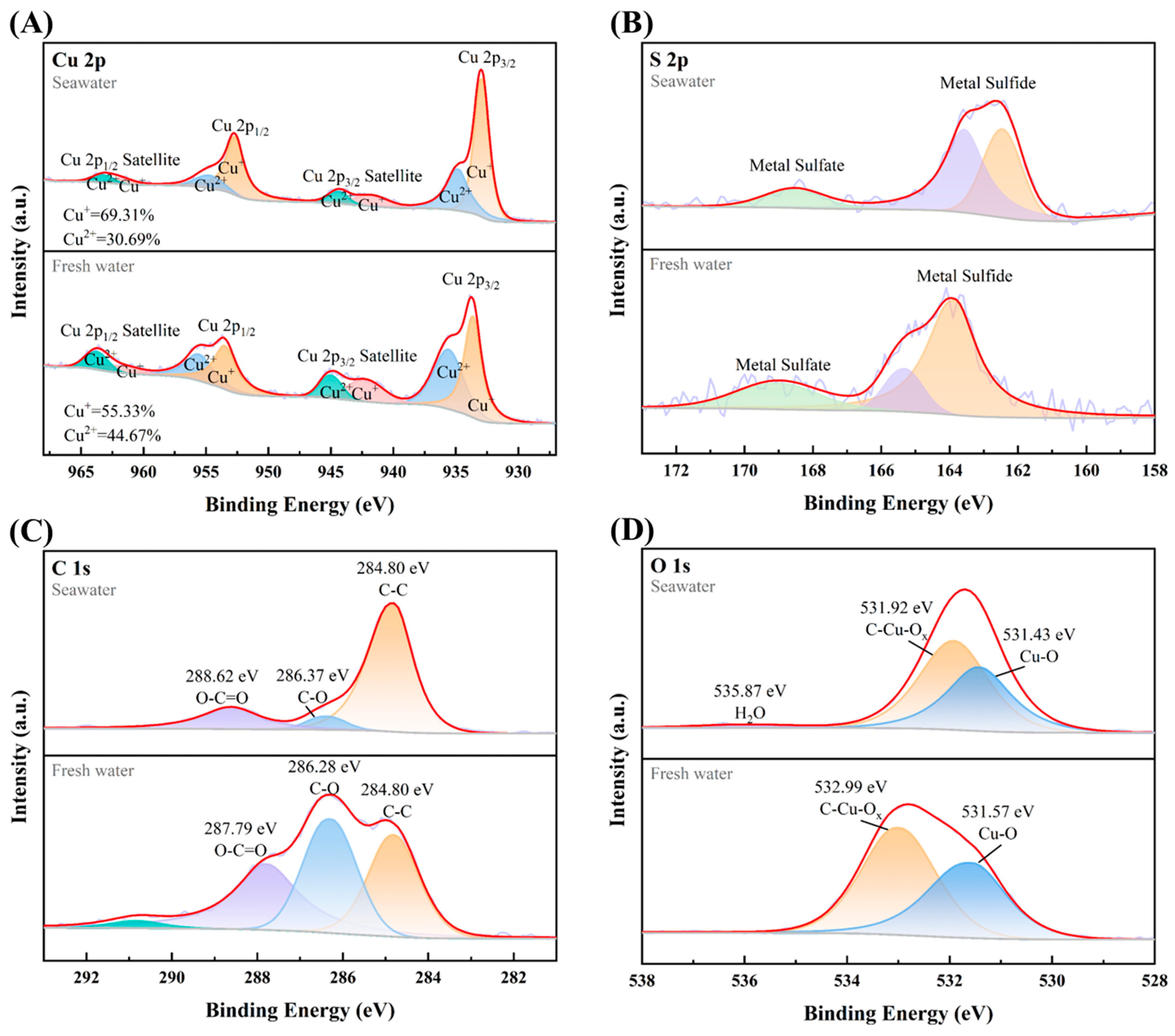 Metals 14 01451 g010