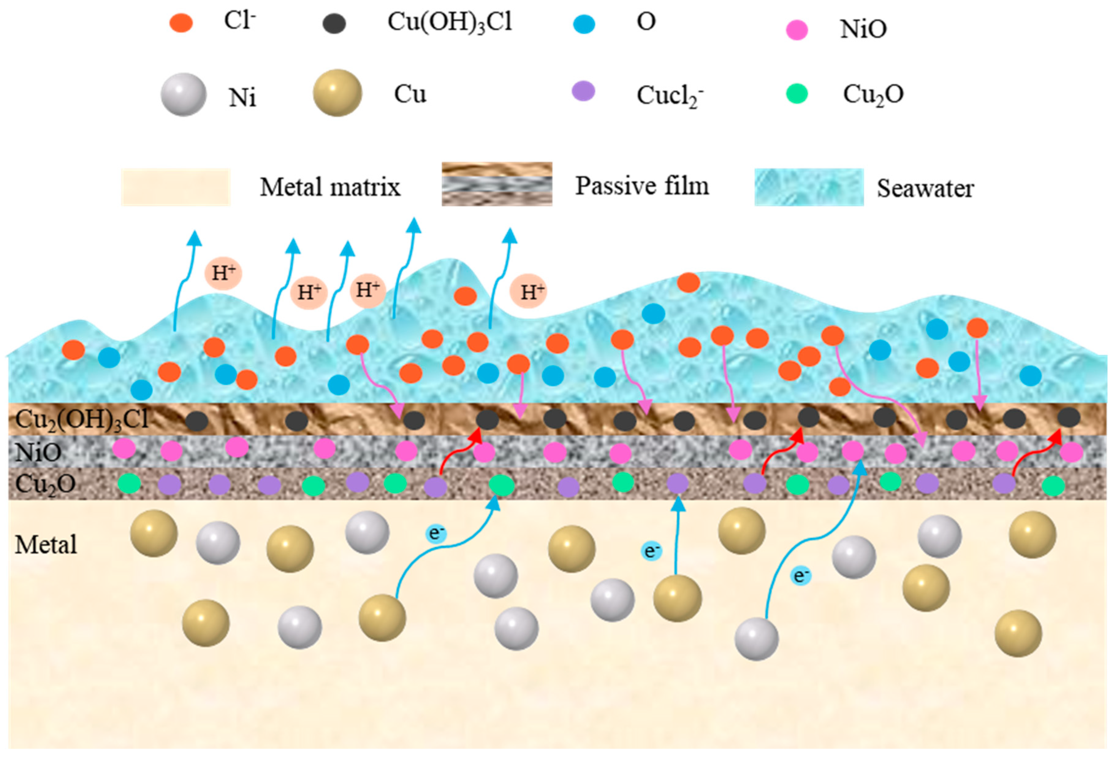 Metals 14 01451 g014