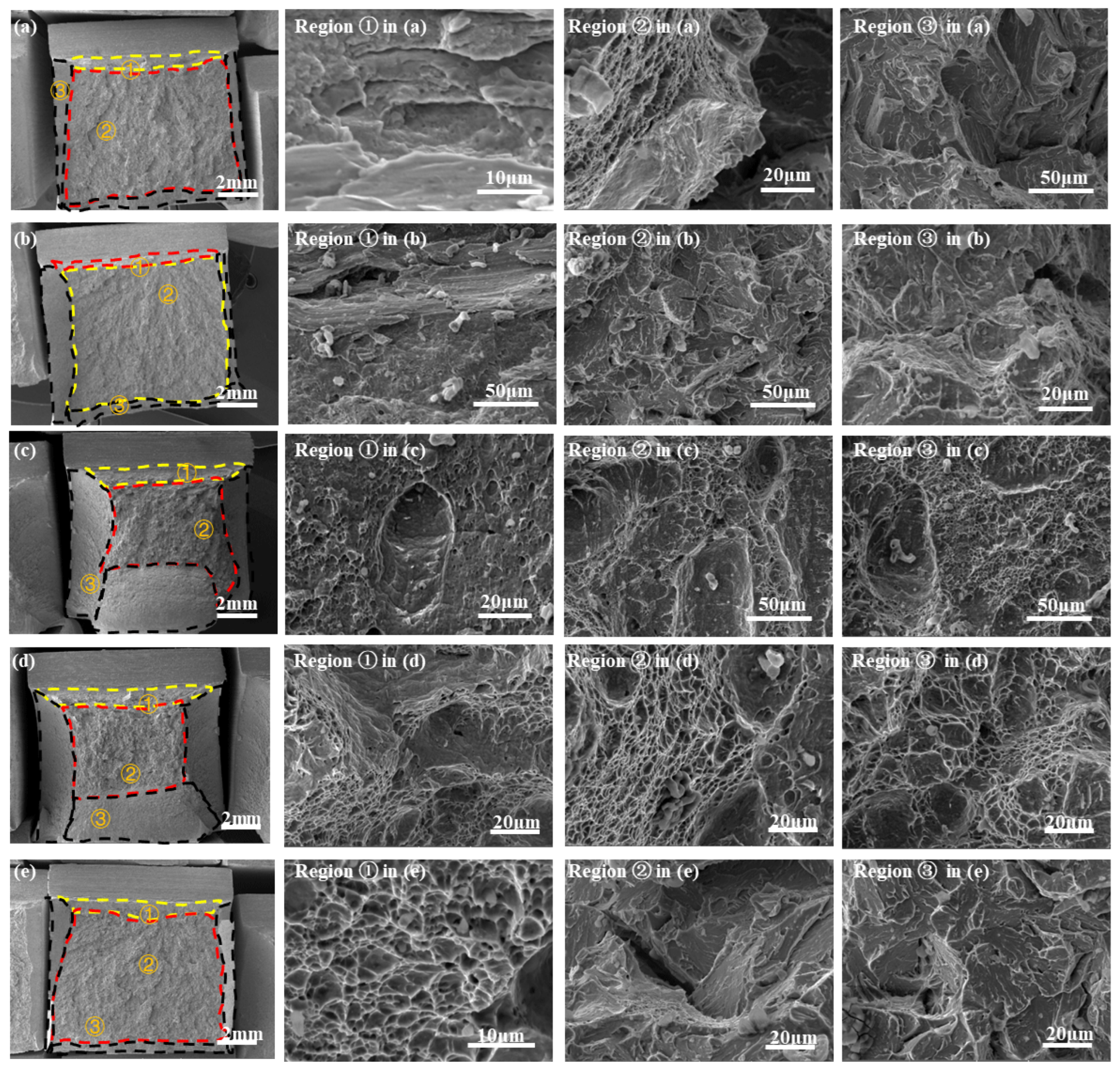 Metals 14 01455 g007