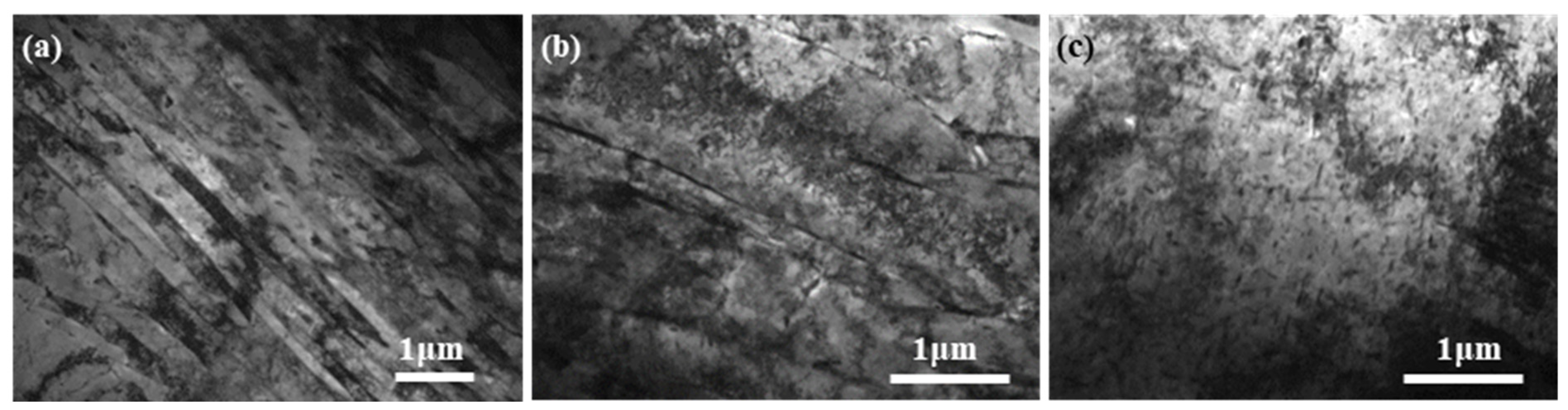 Metals 14 01455 g009