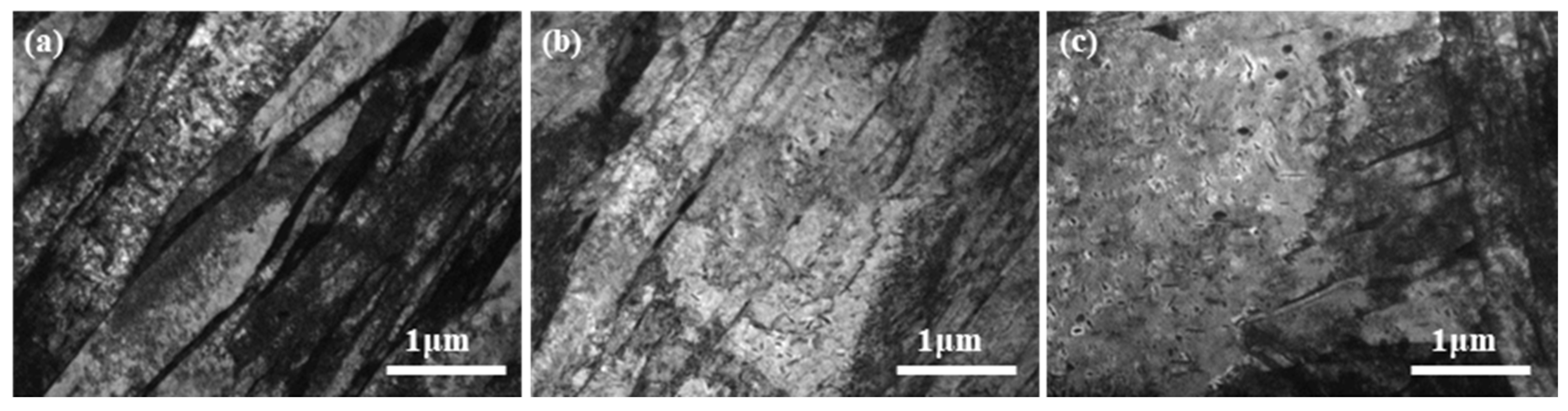 Metals 14 01455 g013