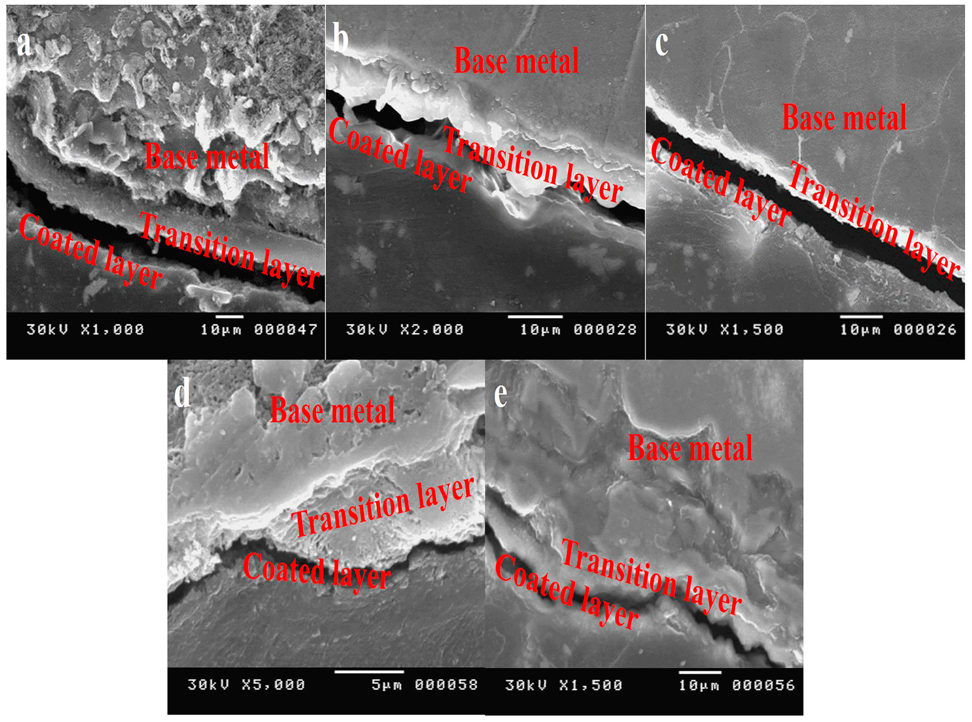 Metals 14 01456 g005