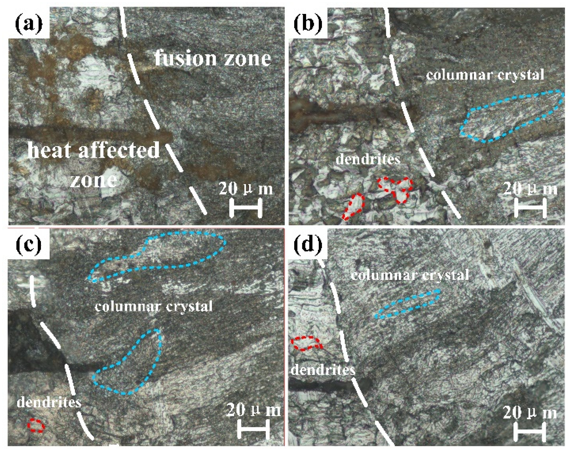 Metals 14 01469 g007