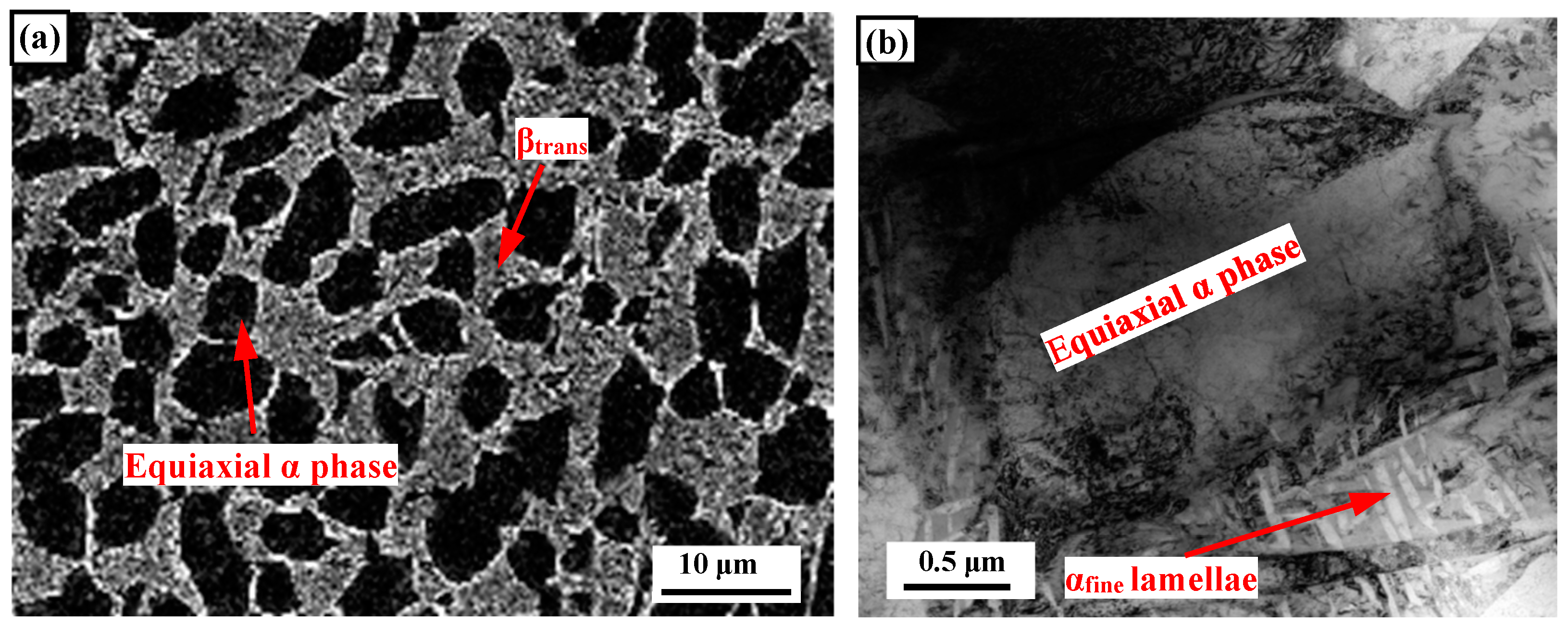 Metals 15 00018 g001