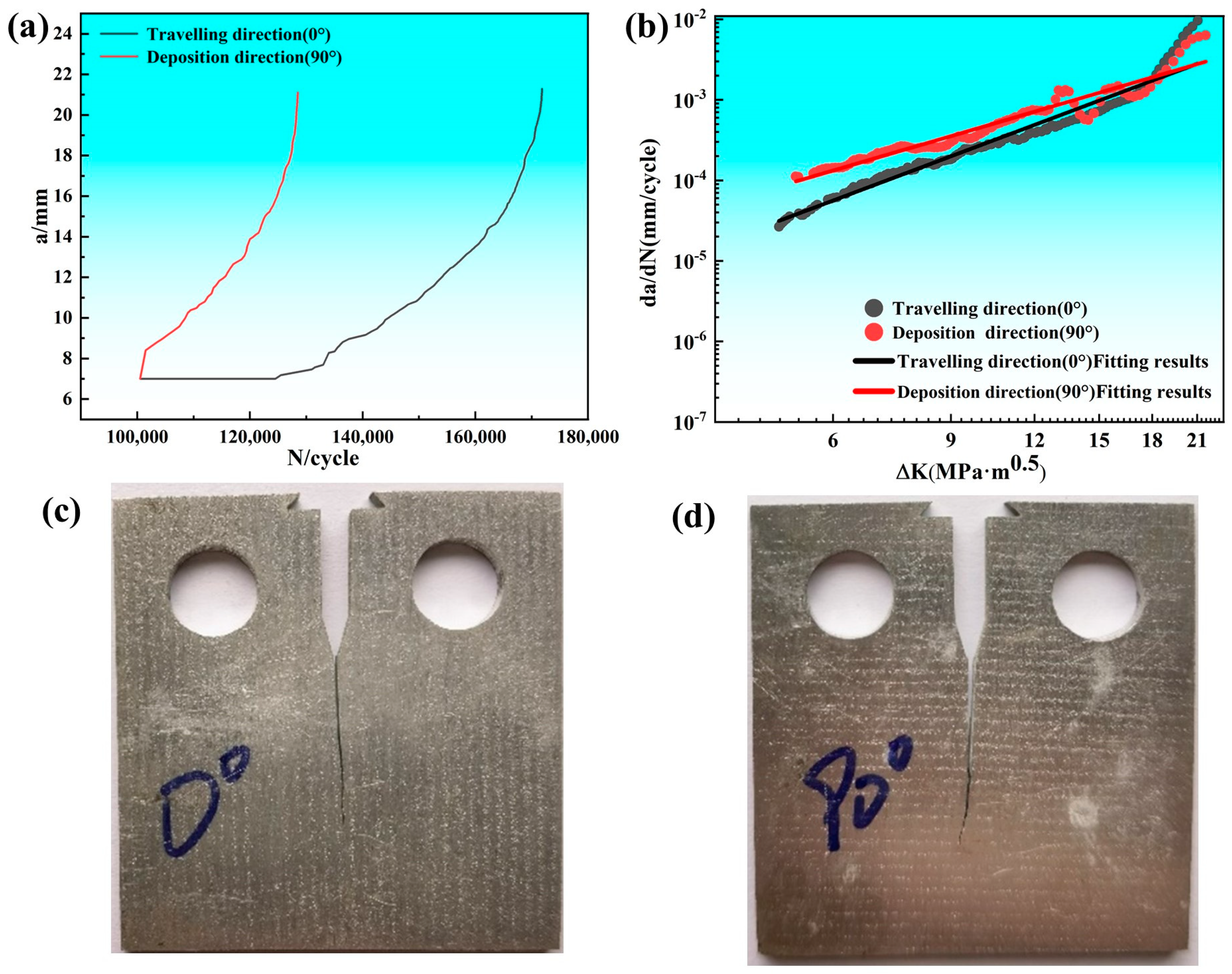 Metals 15 00031 g008