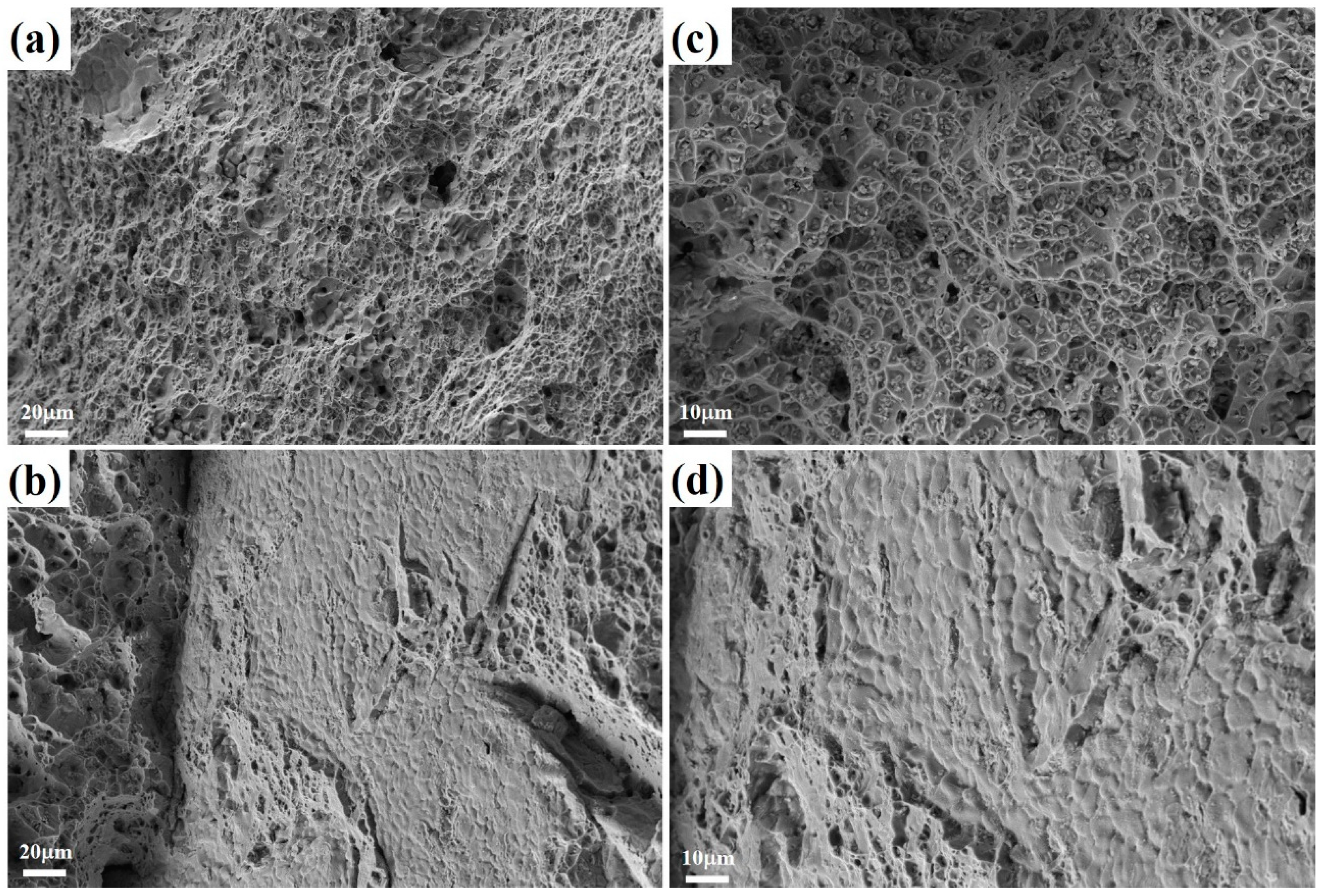 Metals 15 00031 g010