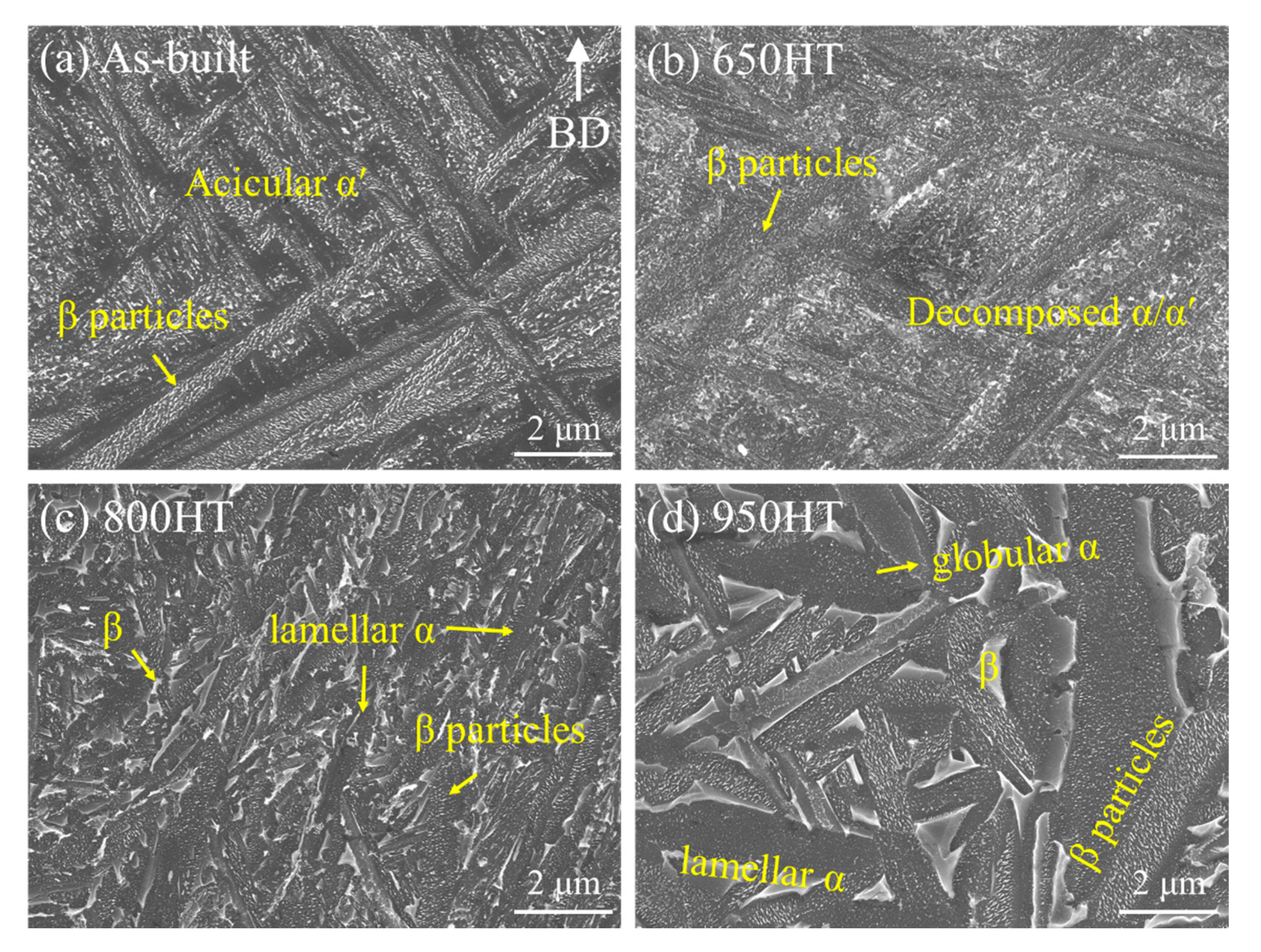 Metals 15 00032 g005