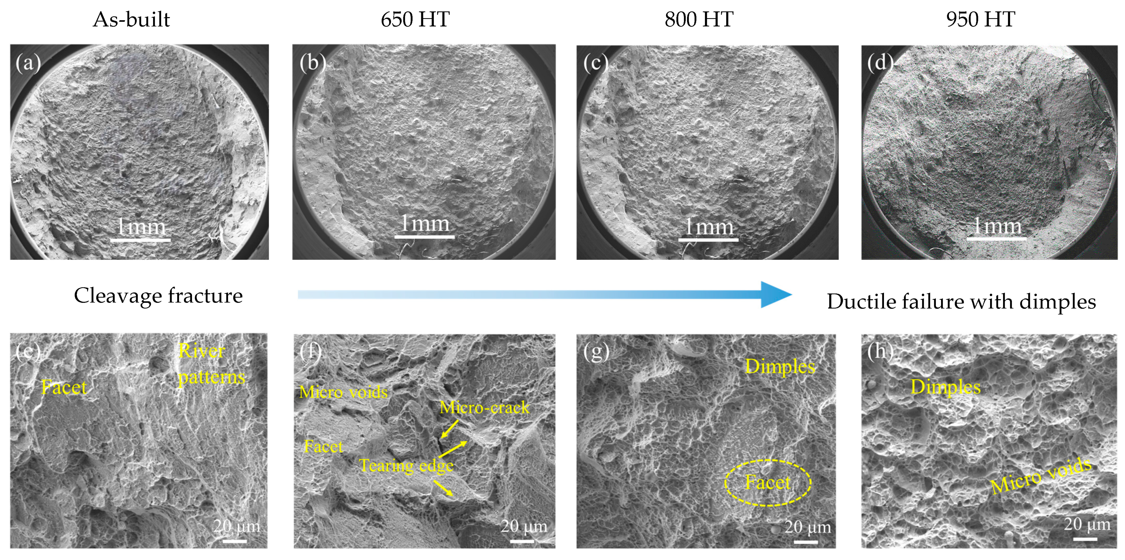 Metals 15 00032 g010