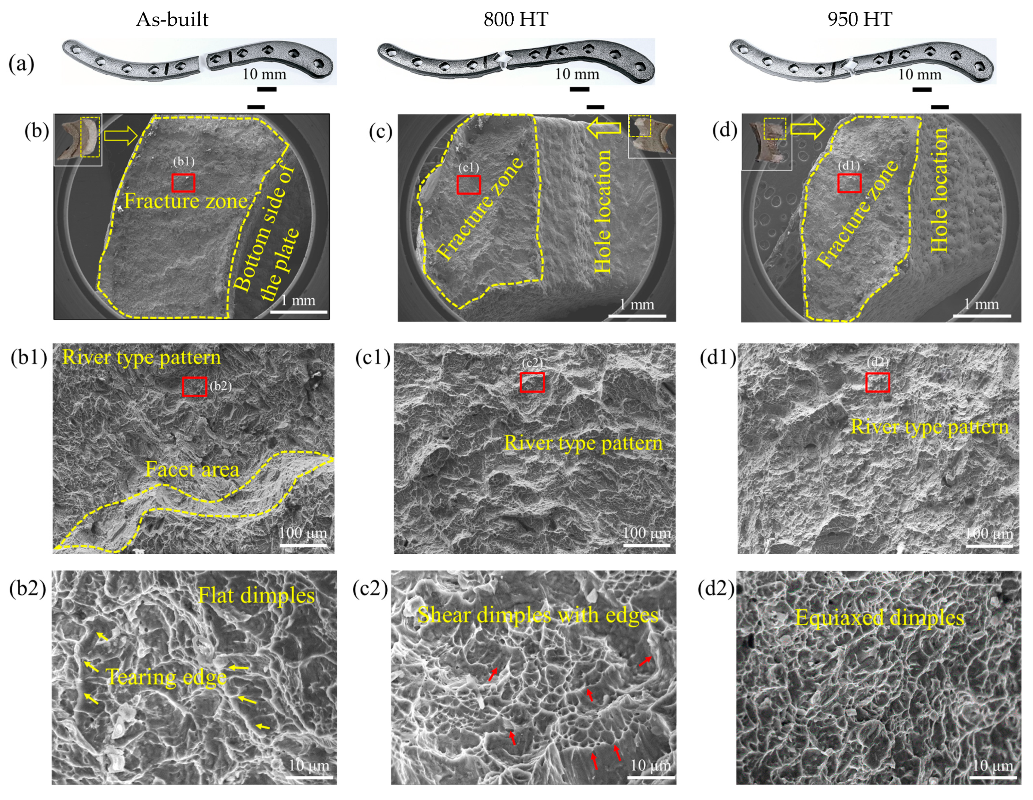 Metals 15 00032 g013