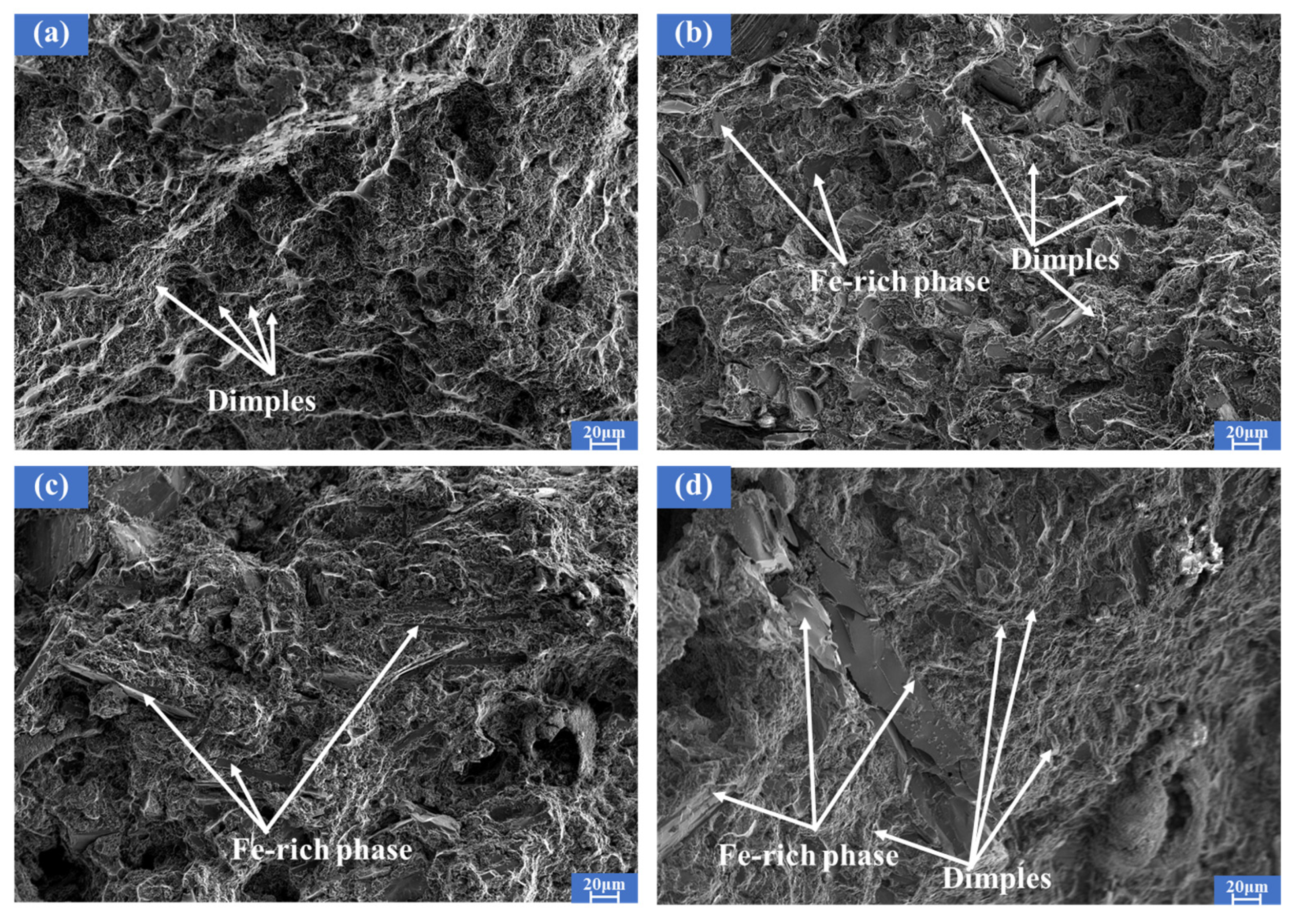 Metals 15 00033 g012