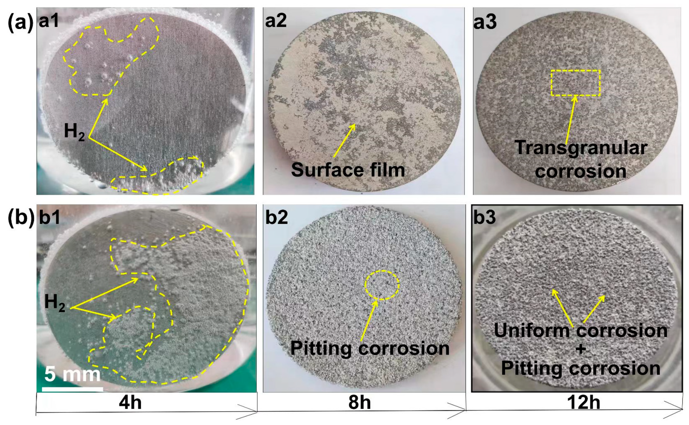 Metals 15 00035 g003