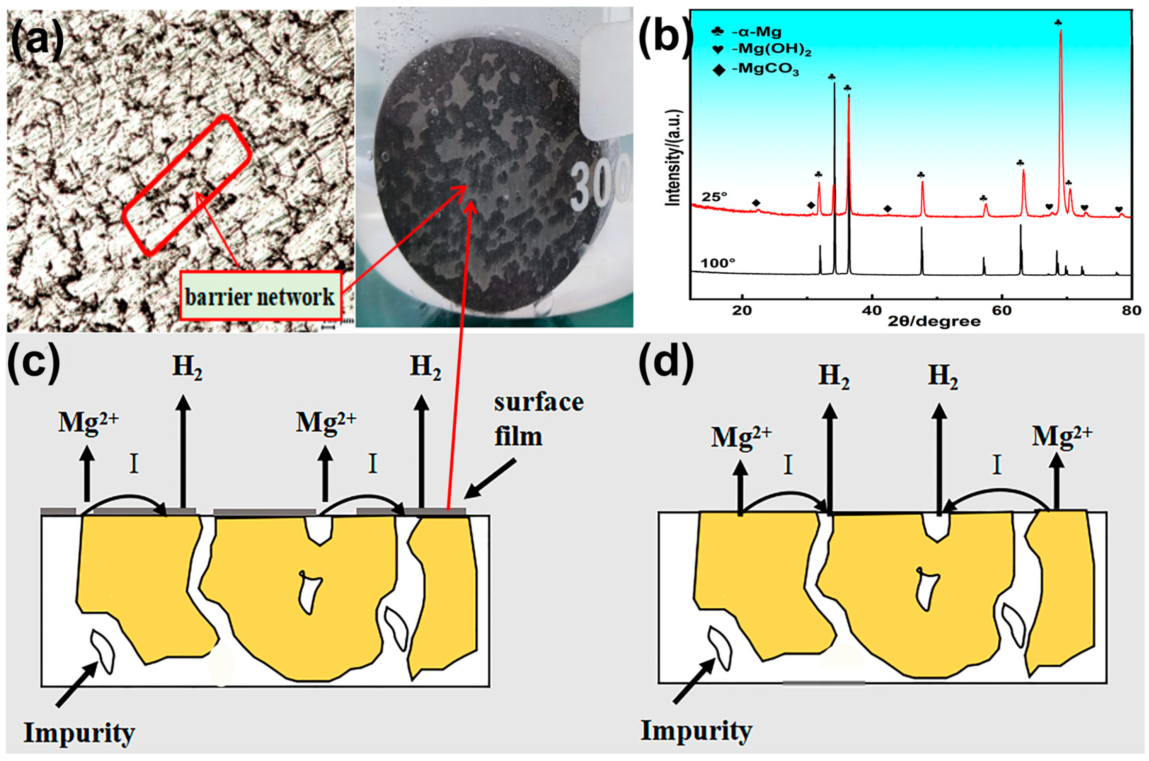 Metals 15 00035 g012