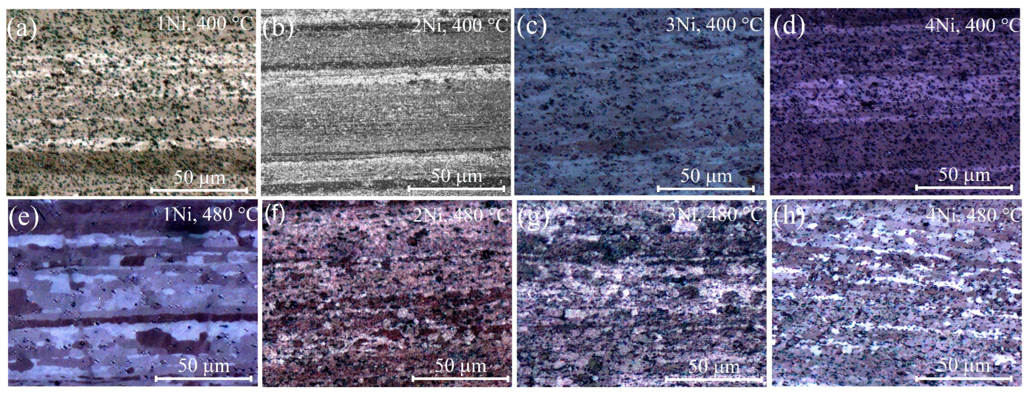 Metals 15 00045 g005