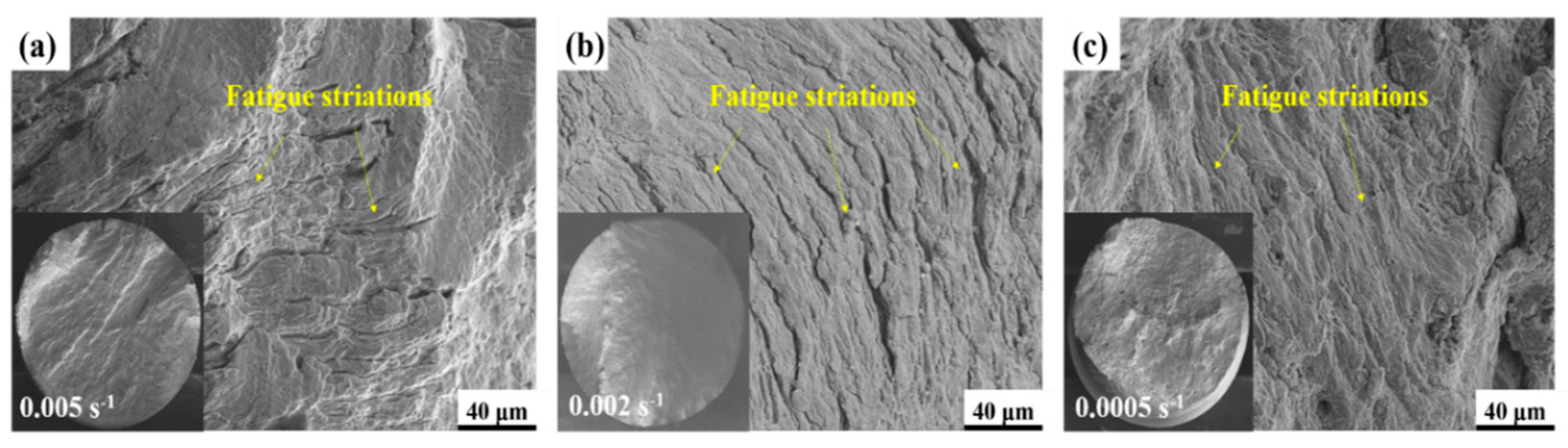 Metals 15 00053 g005