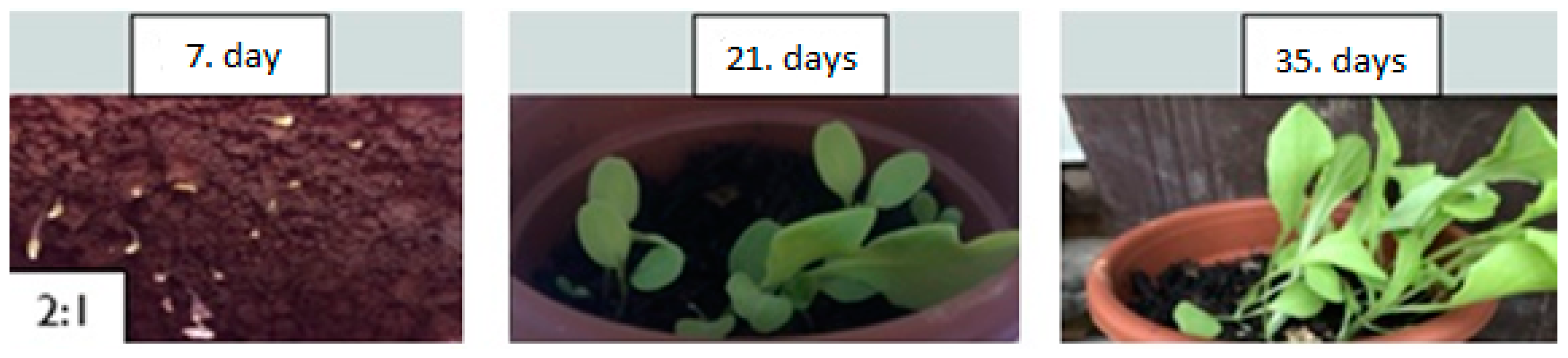 Metals 15 00055 g008