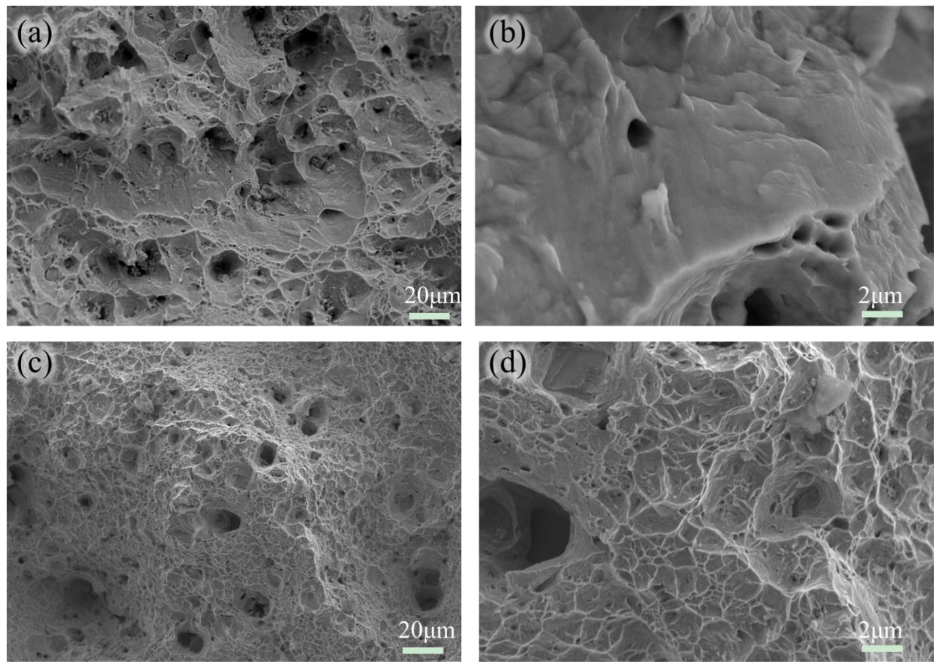 Metals 15 00061 g008