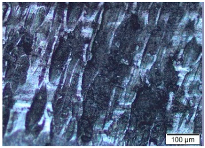 Metals 15 00063 i003