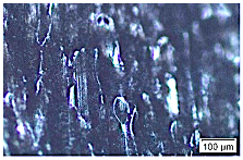 Metals 15 00063 i004