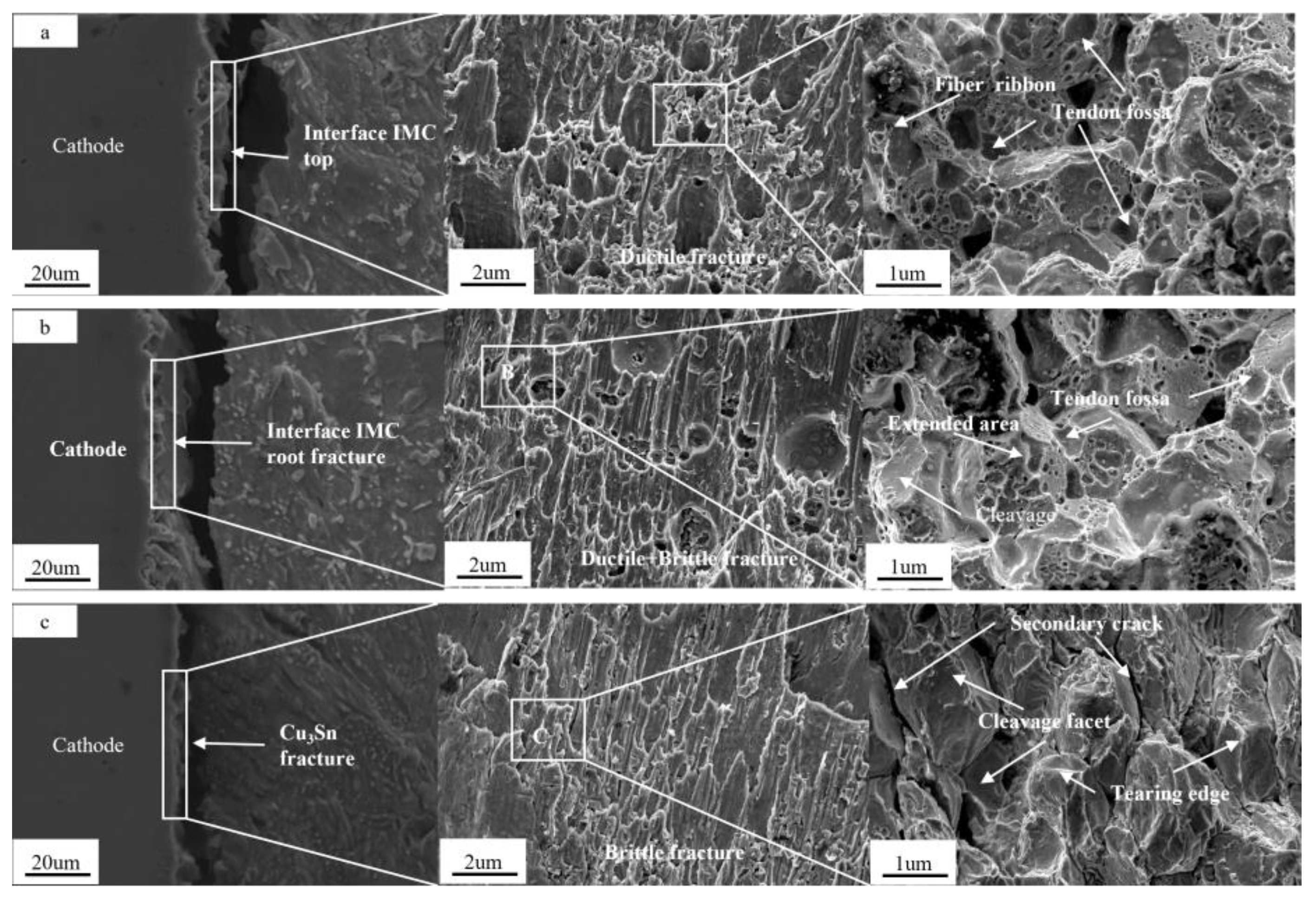 Metals 15 00075 g010