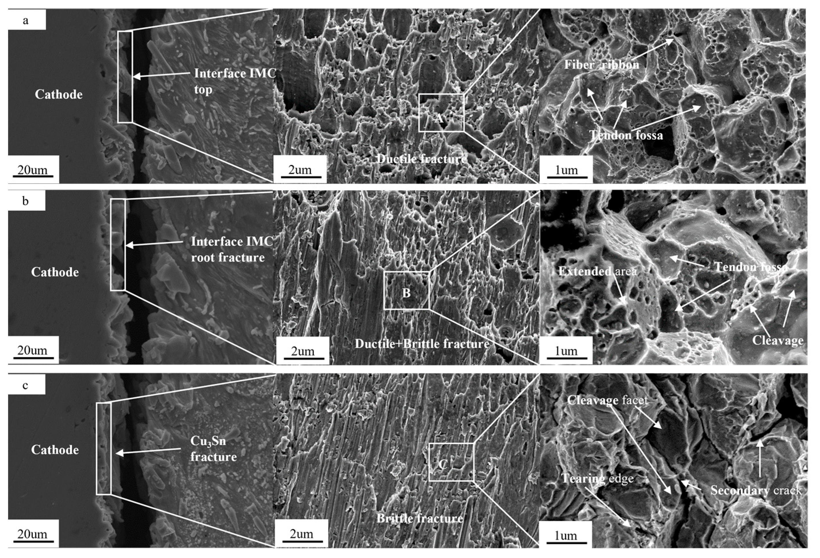 Metals 15 00075 g012