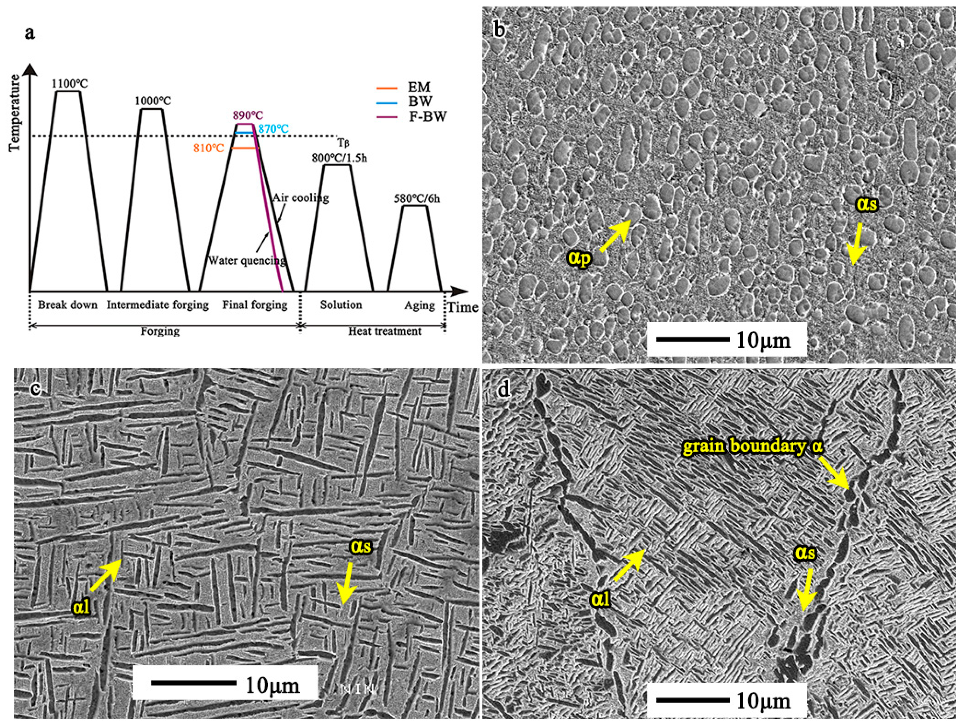 Metals 15 00084 g001