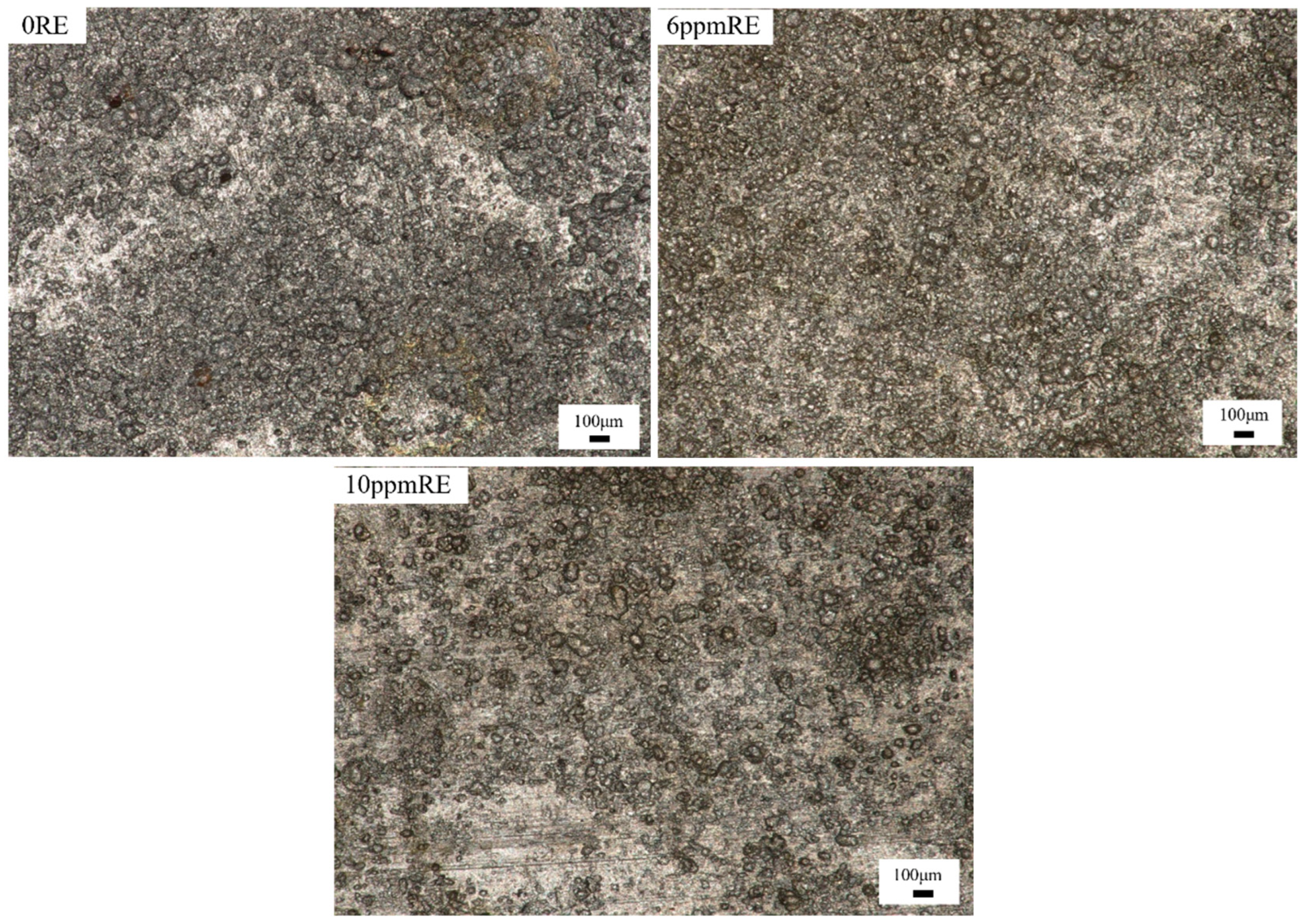 Metals 15 00085 g010