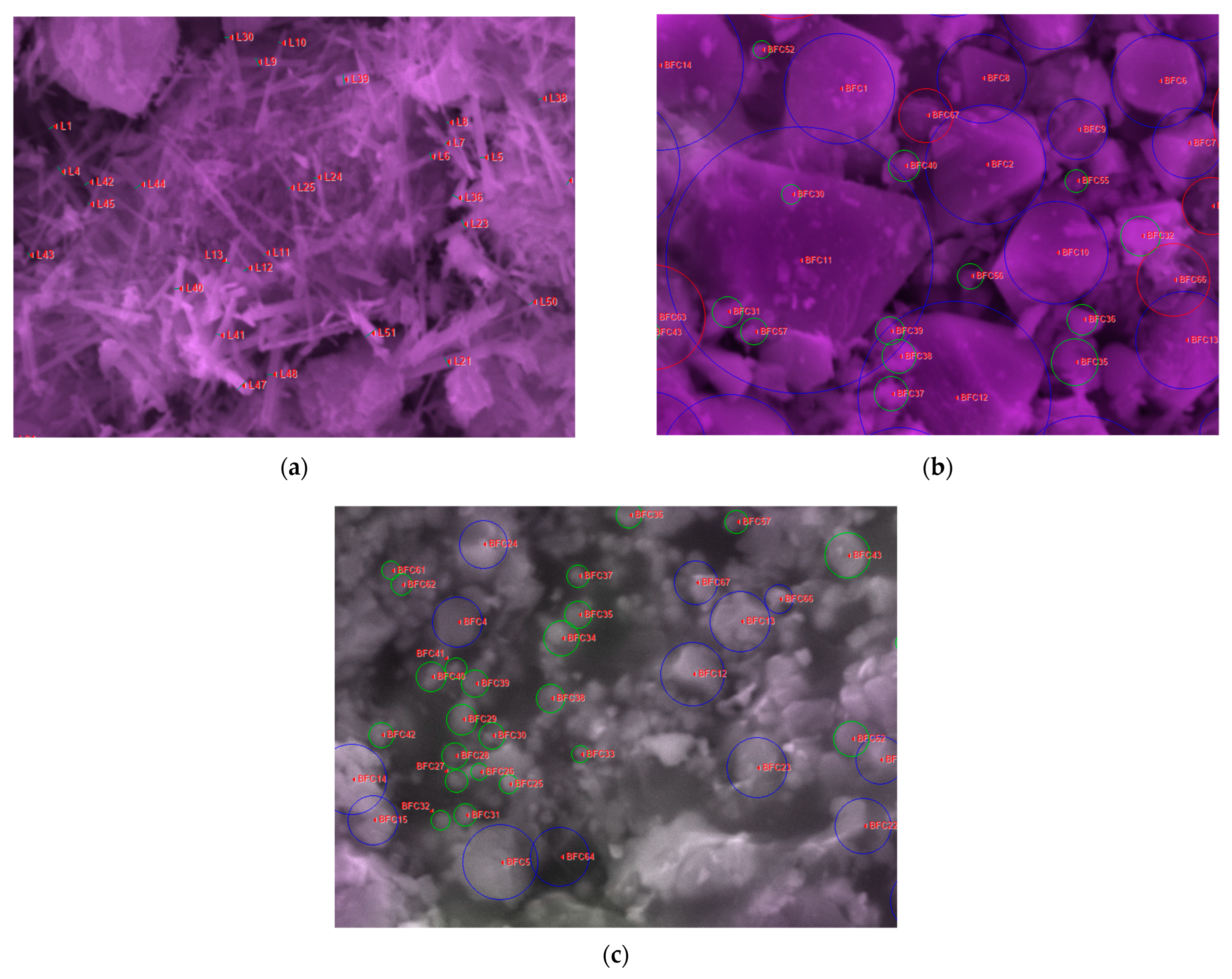 Metals 15 00089 g012