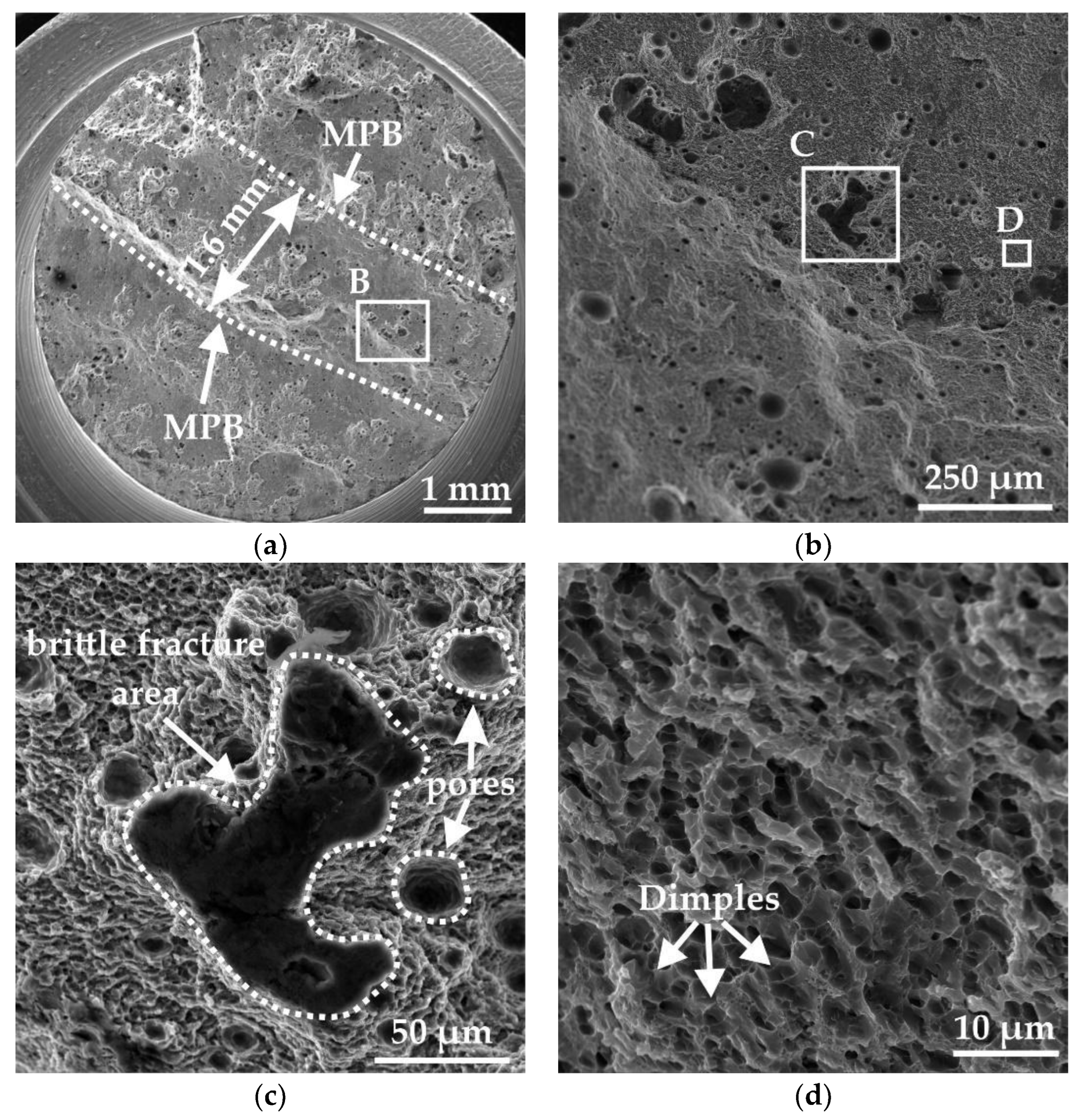 Metals 15 00092 g010