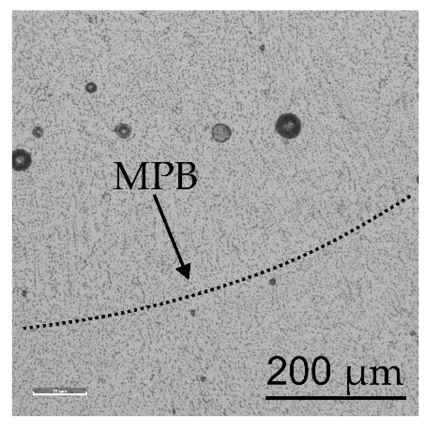 Metals 15 00092 g012