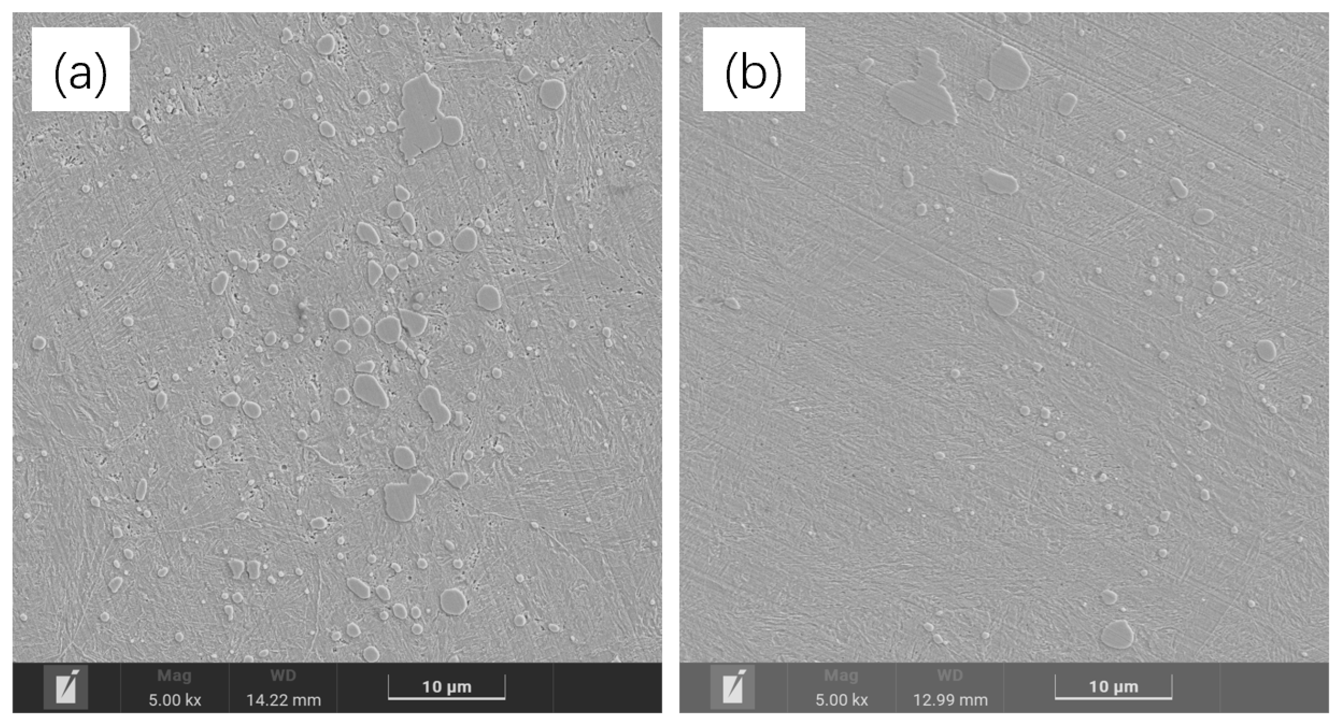 Metals 15 00095 g012