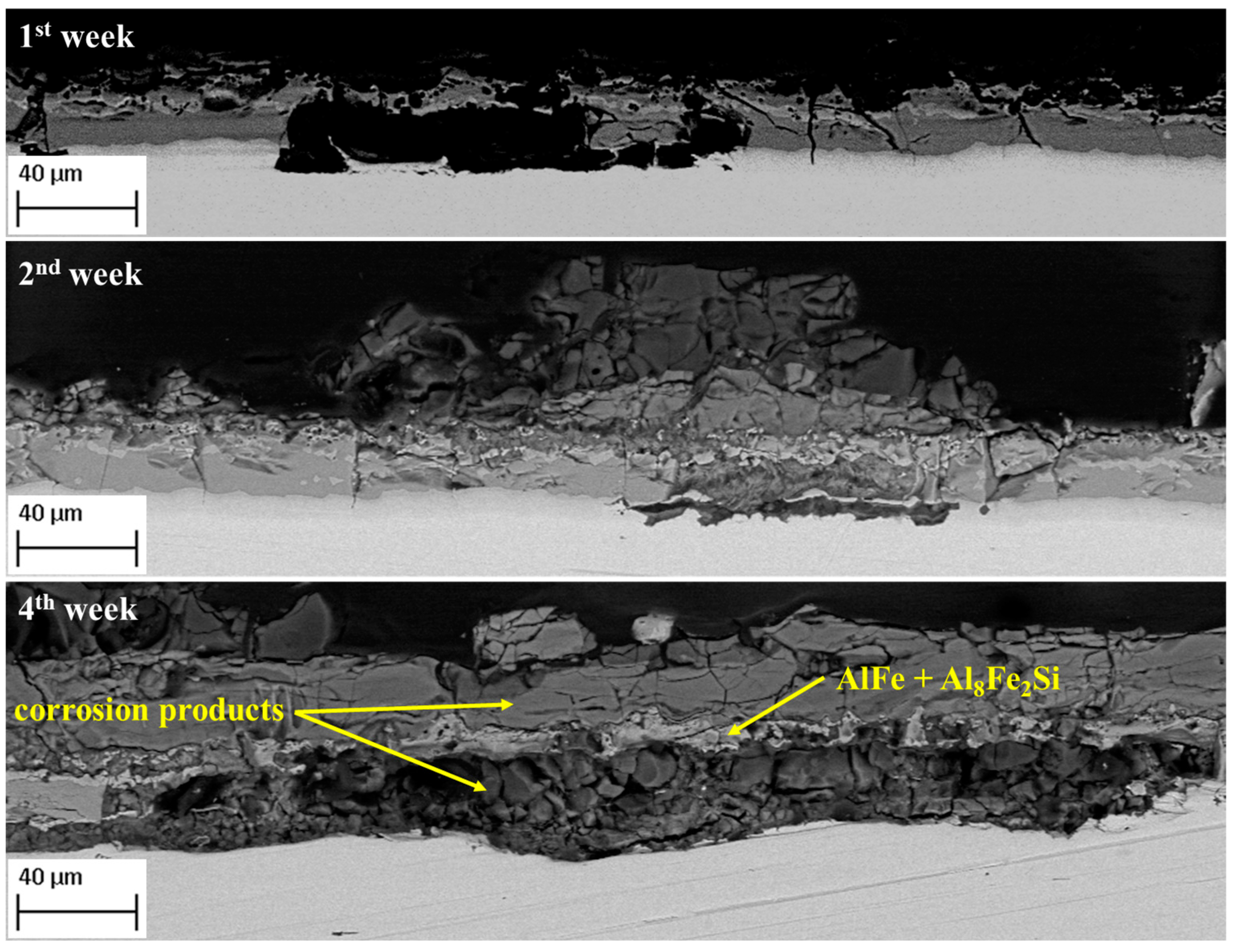 Metals 15 00097 g005