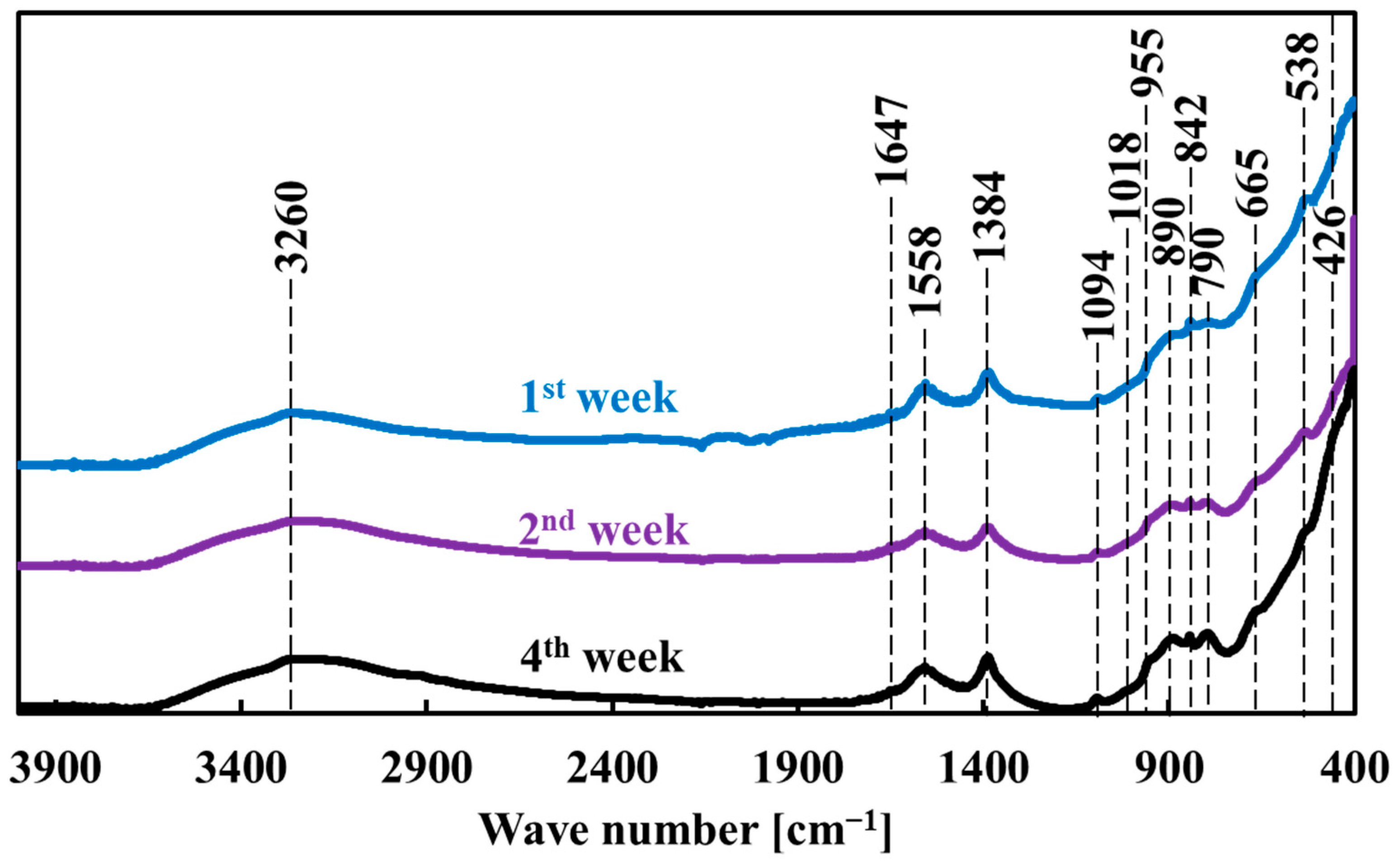 Metals 15 00097 g013