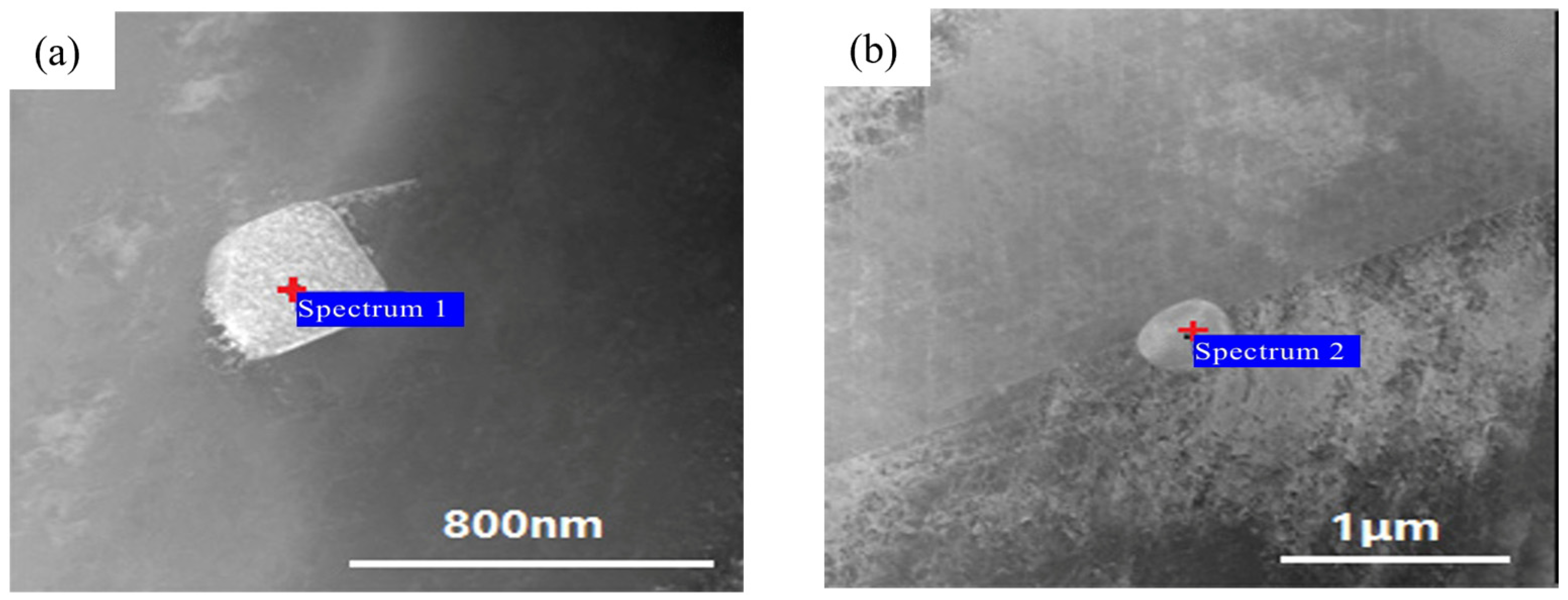 Metals 15 00102 g003a