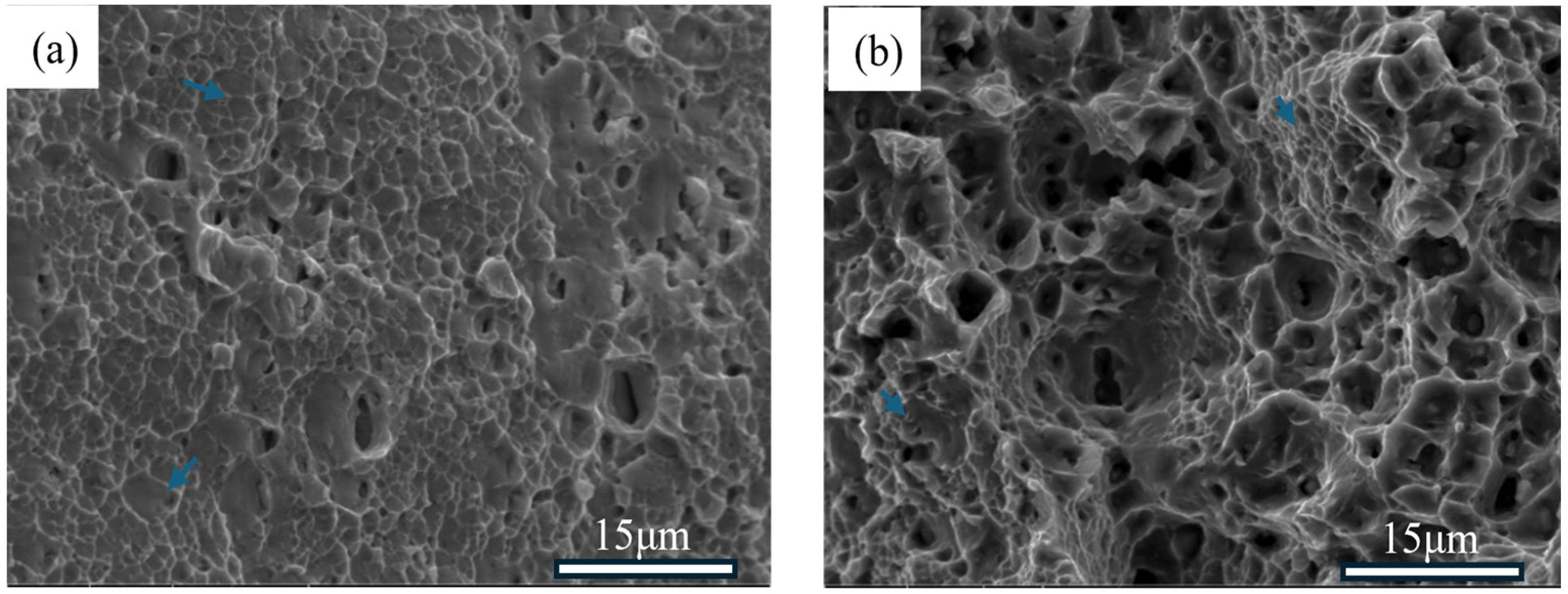 Metals 15 00102 g007